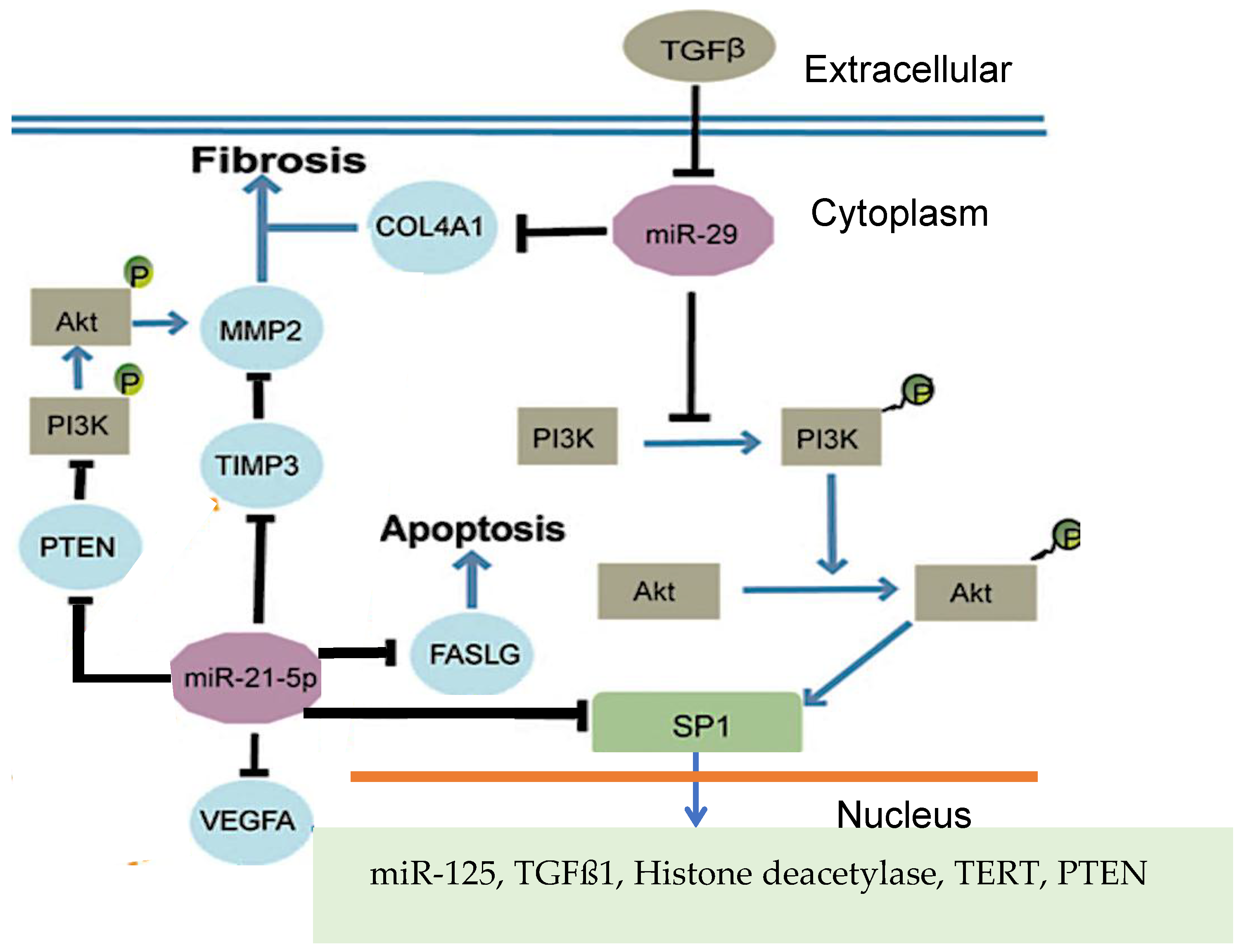 Preprints 157582 g001