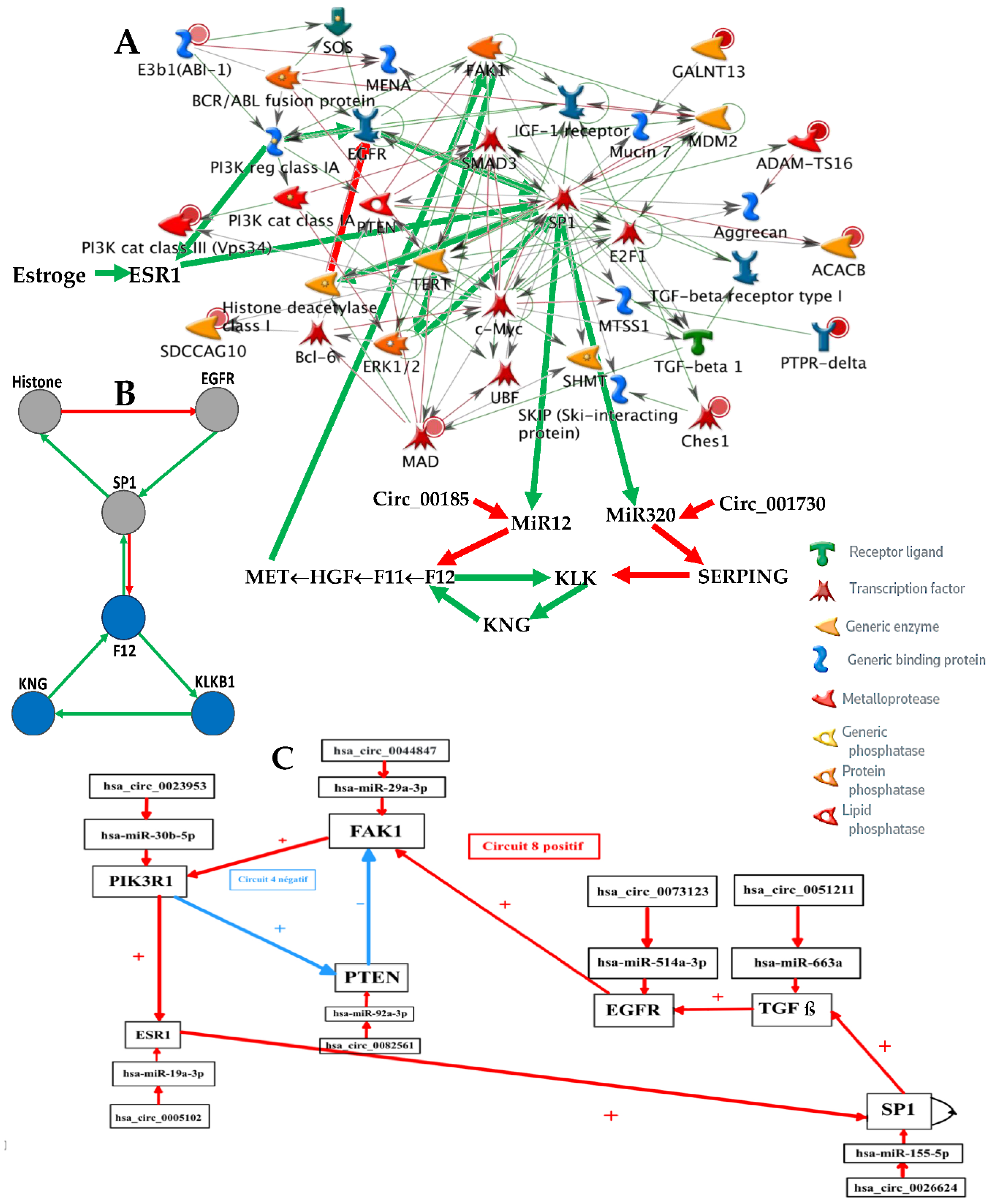 Preprints 157582 g002