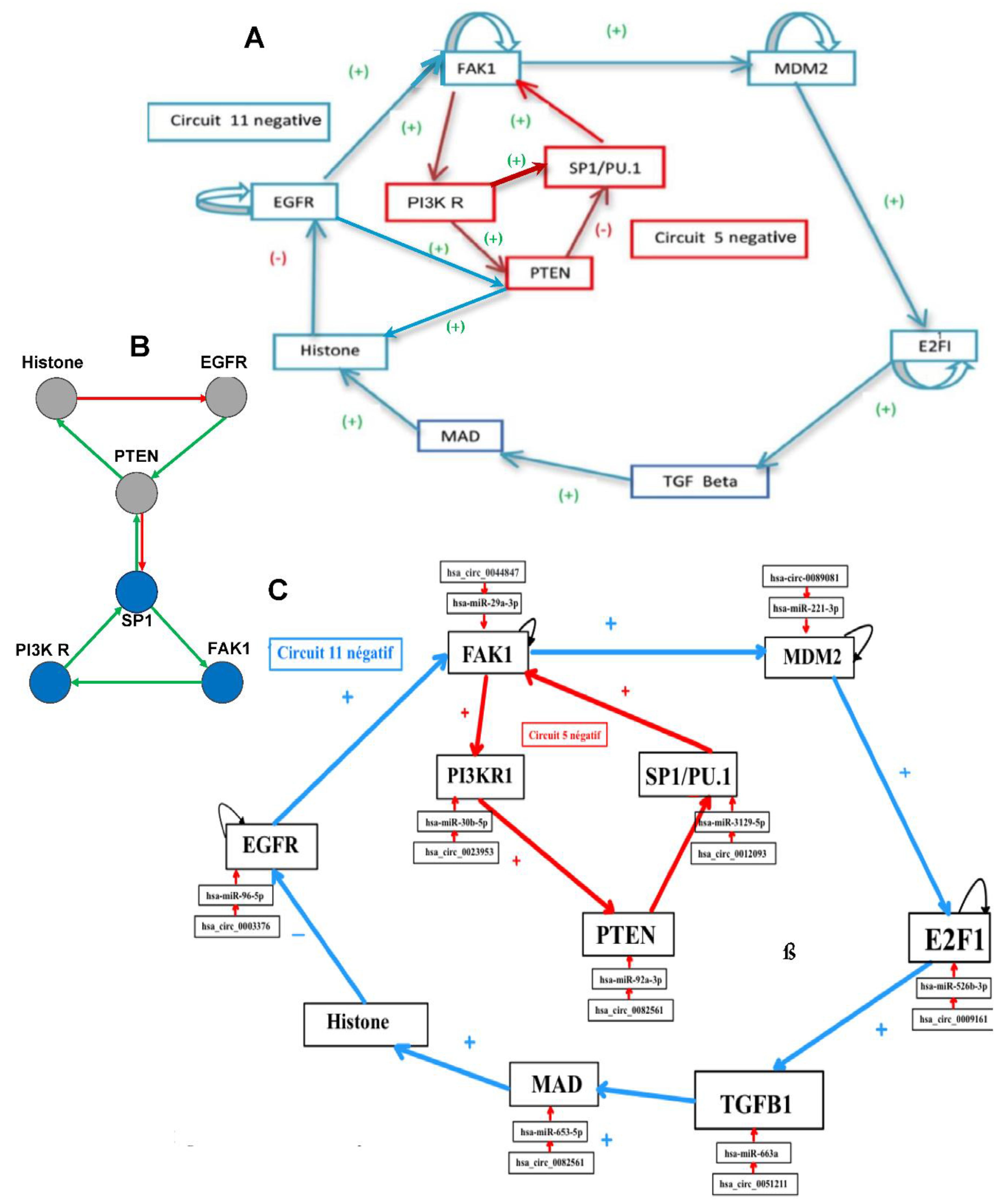 Preprints 157582 g004