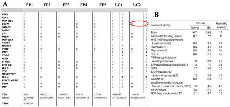 Preprints 157582 i003