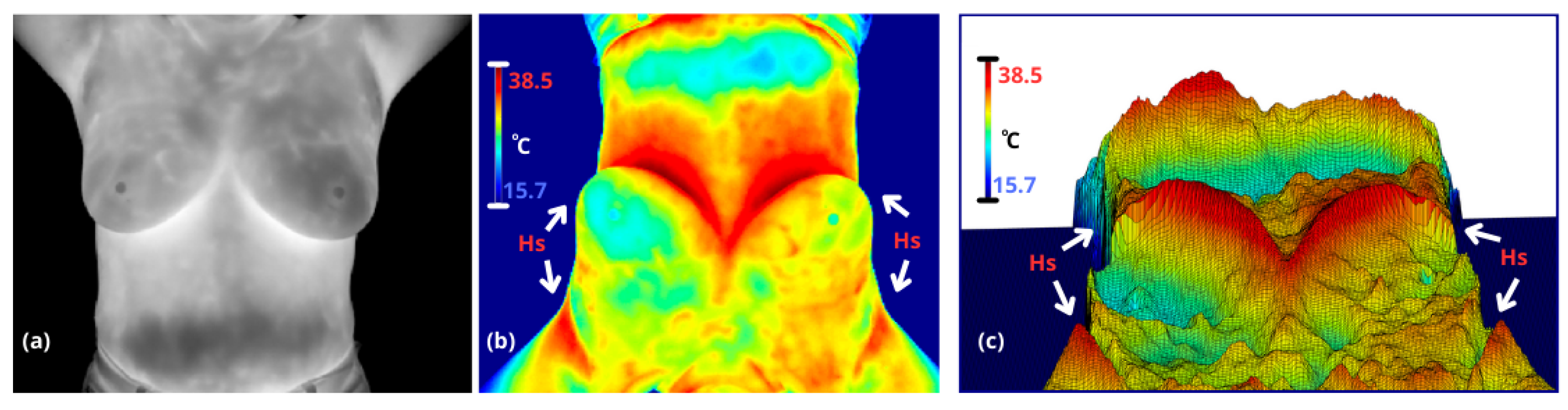 Preprints 145385 g001