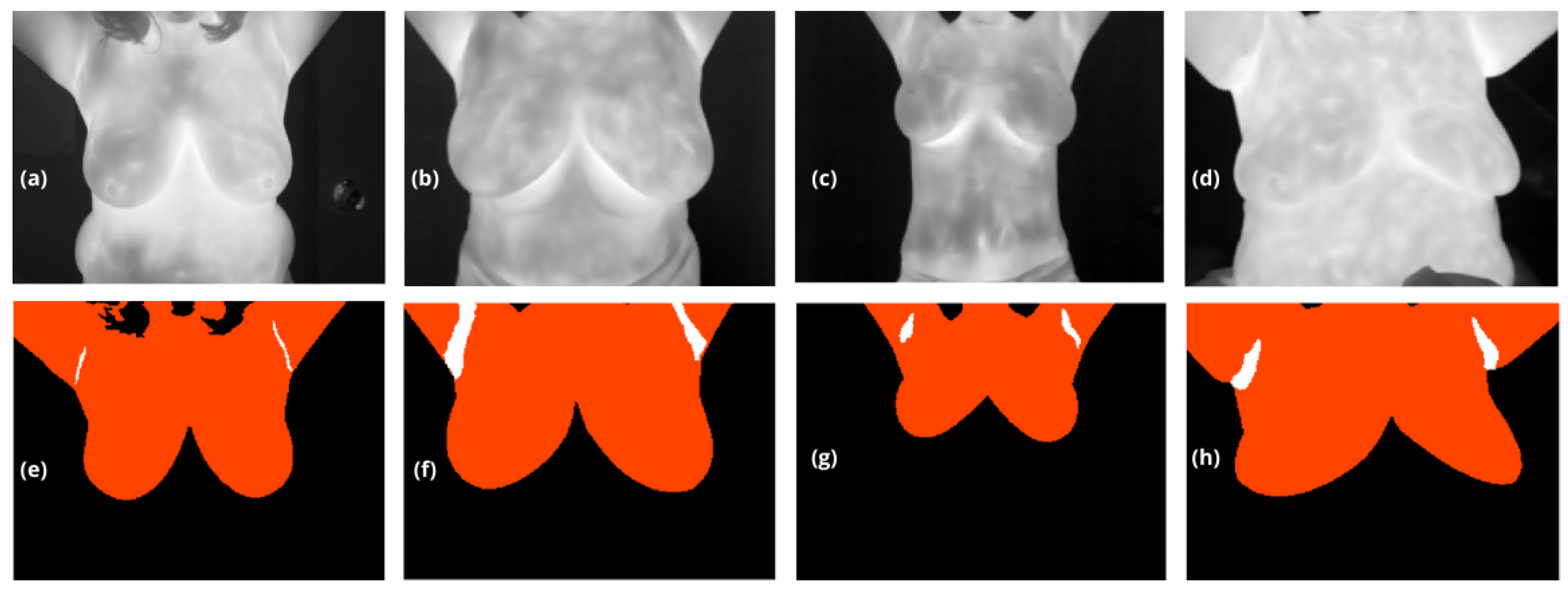 Preprints 145385 g002