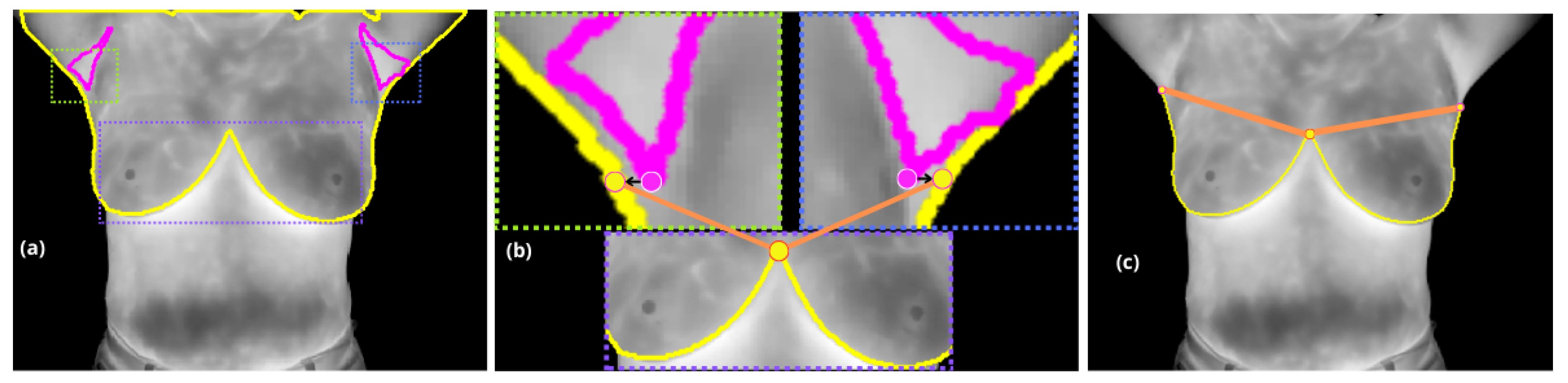 Preprints 145385 g003