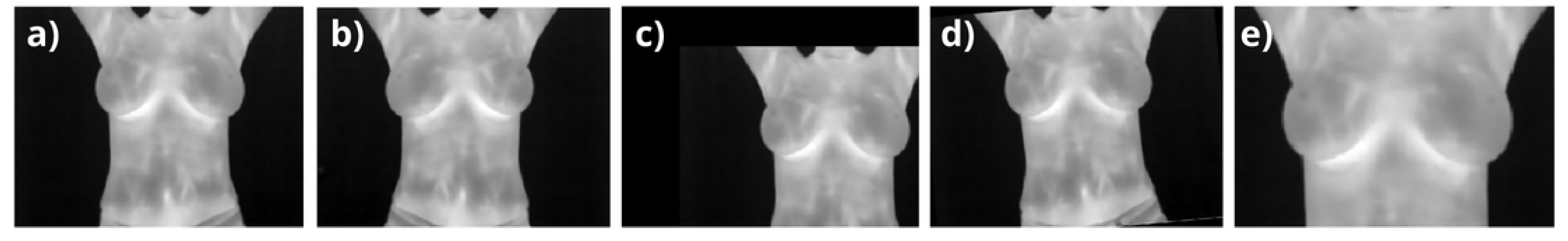 Preprints 145385 g004