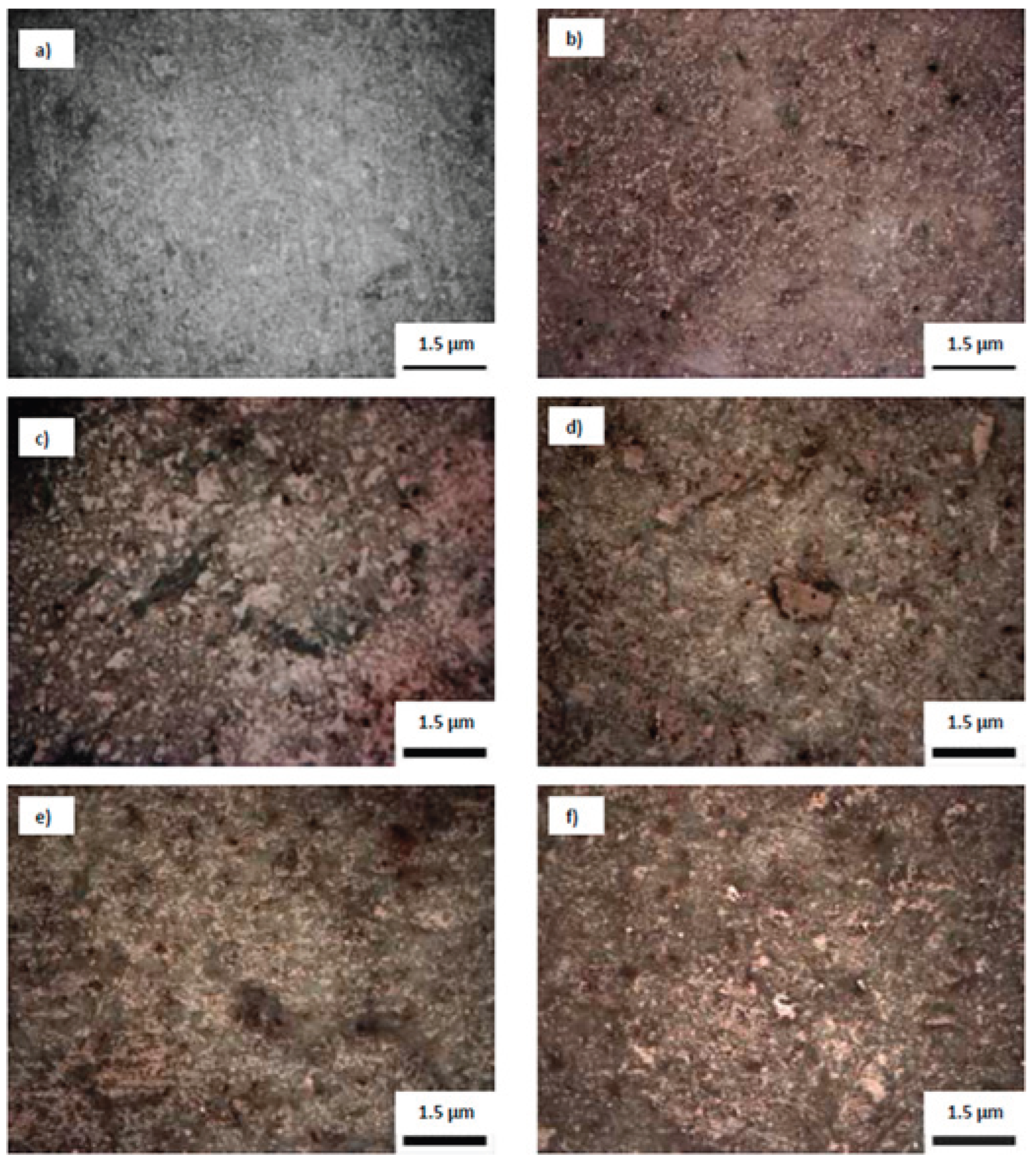 Preprints 196680 g002