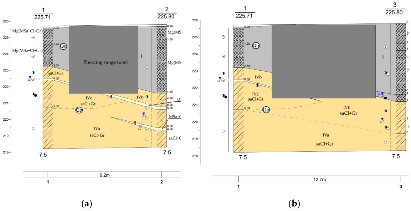 Preprints 219058 g016