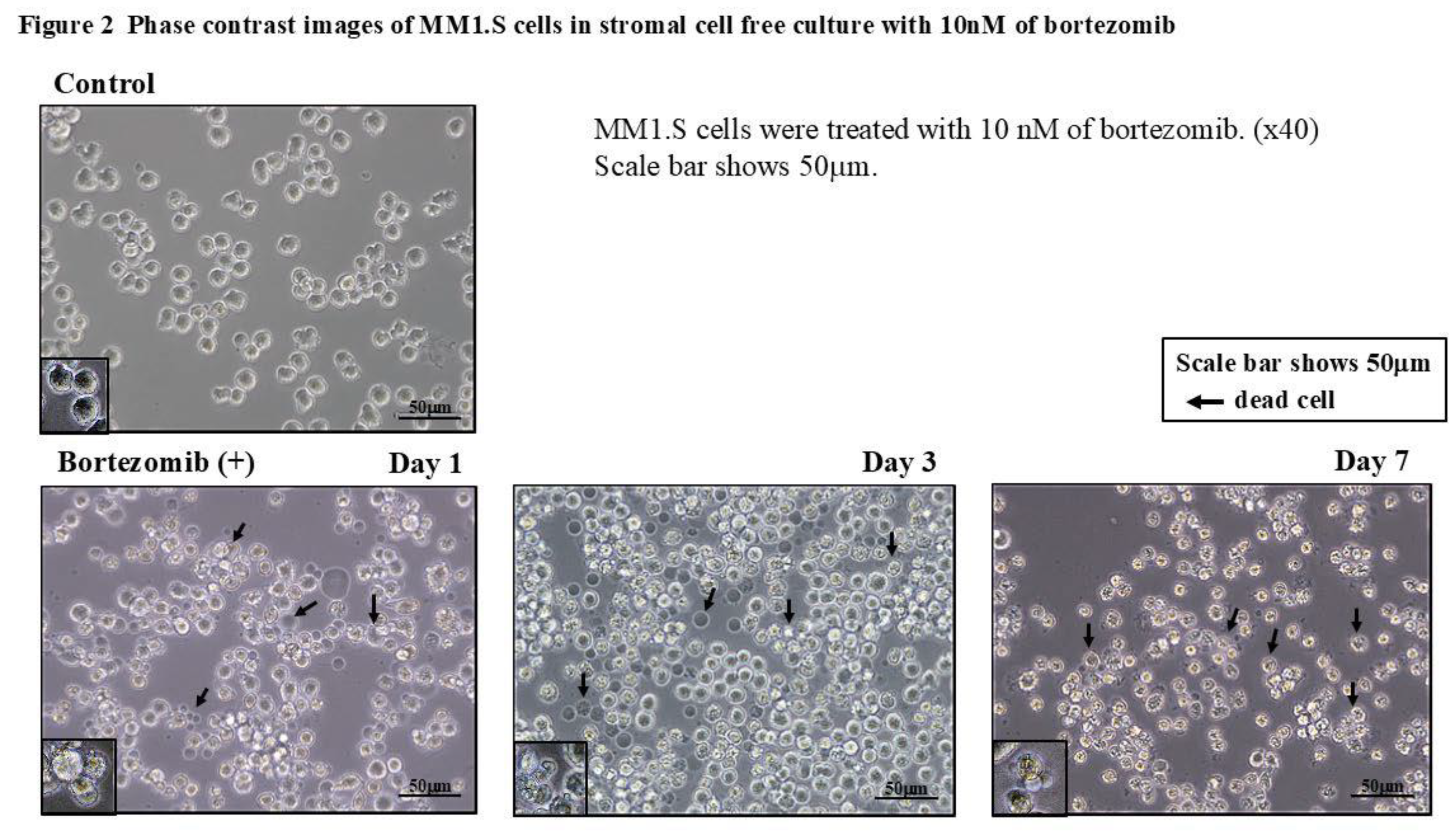 Preprints 180257 g002