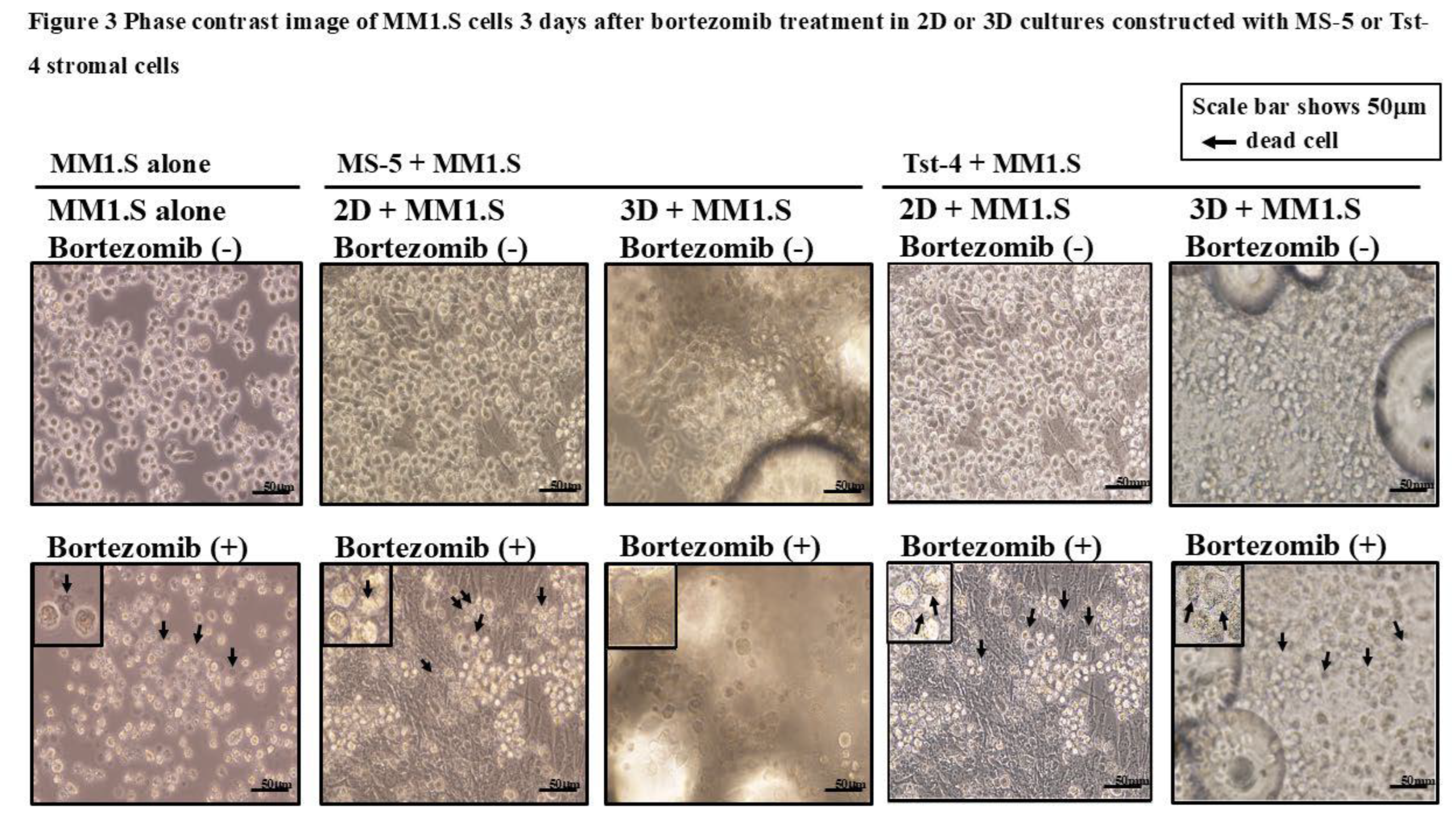 Preprints 180257 g003