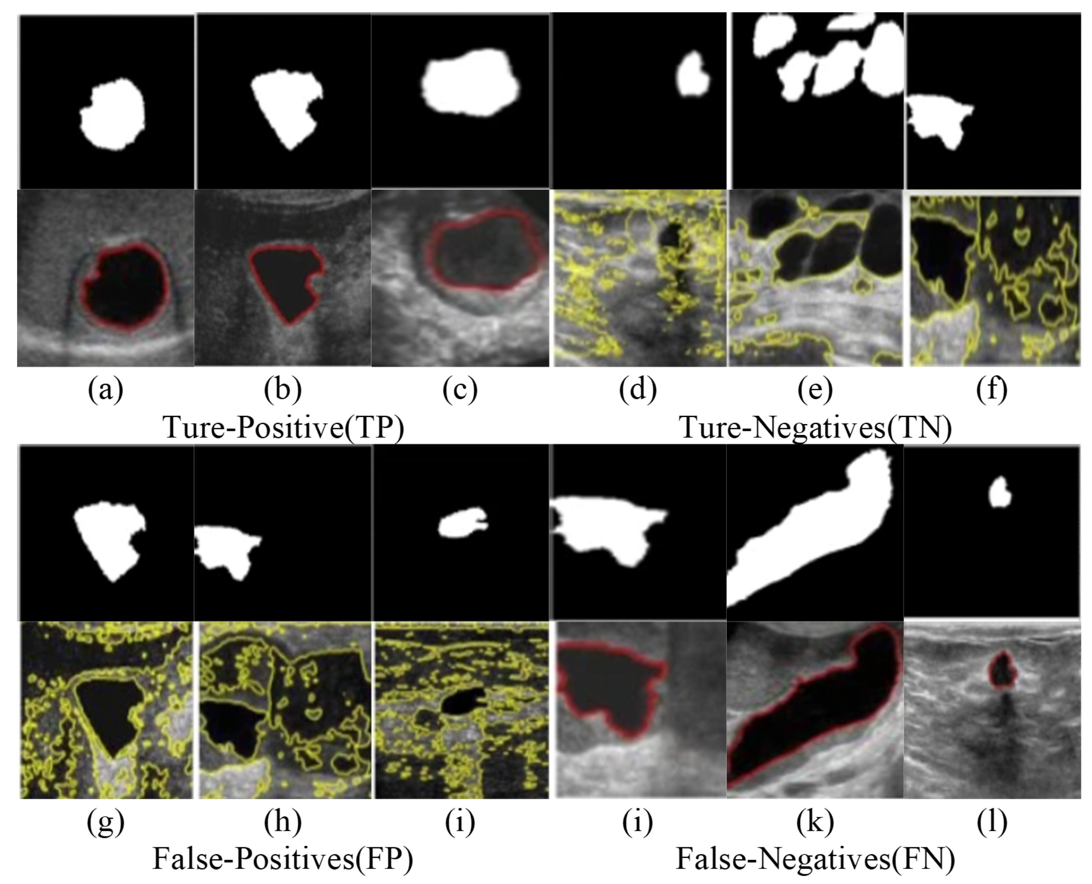 Preprints 161988 g005