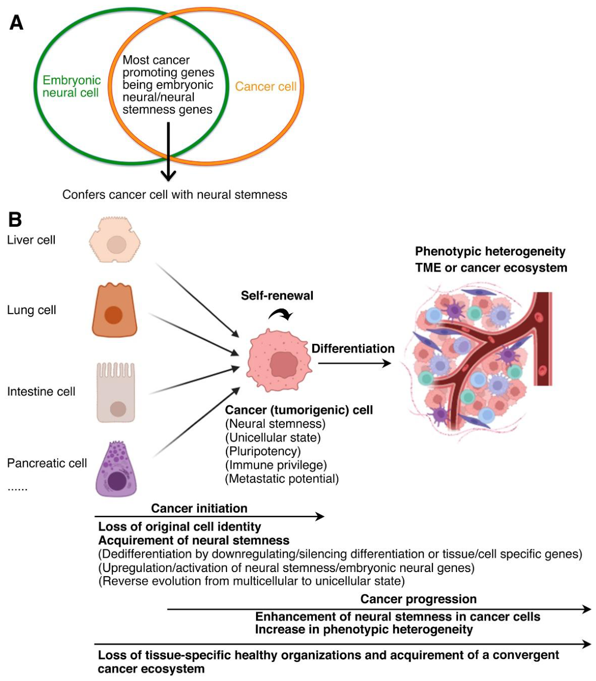 Preprints 215191 g002