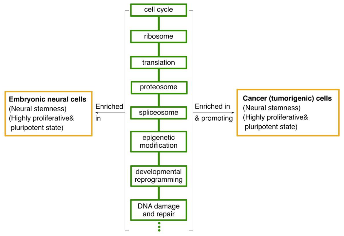 Preprints 215191 g003