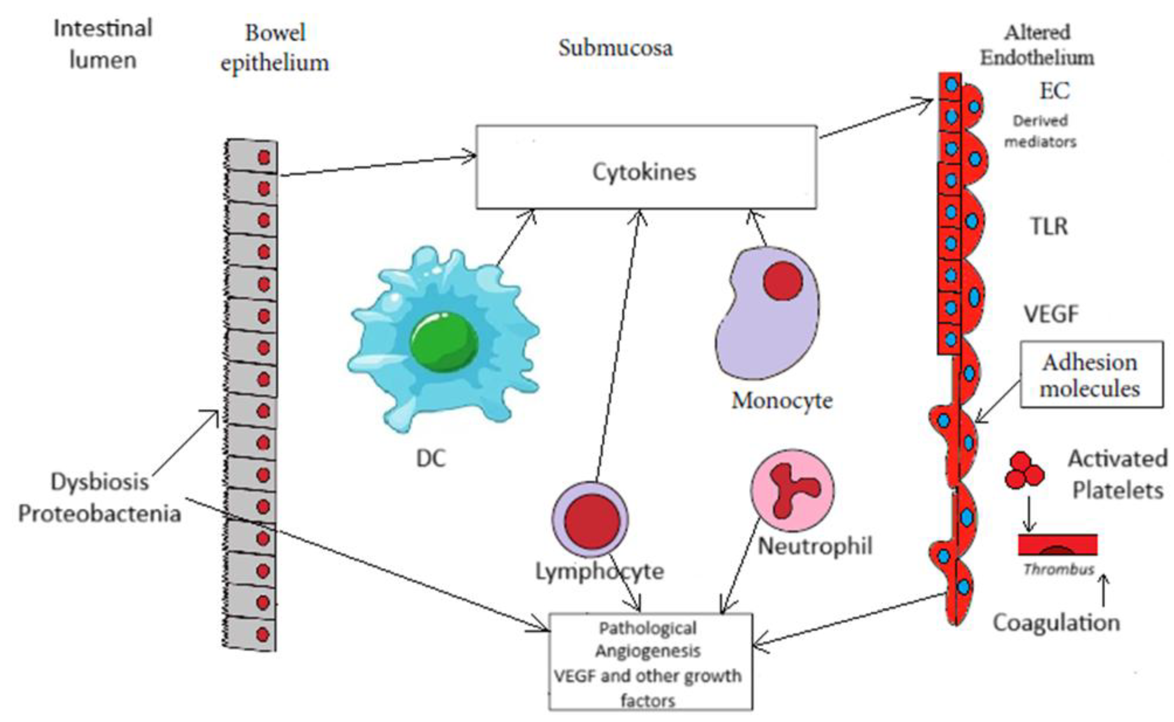 Preprints 180294 g001
