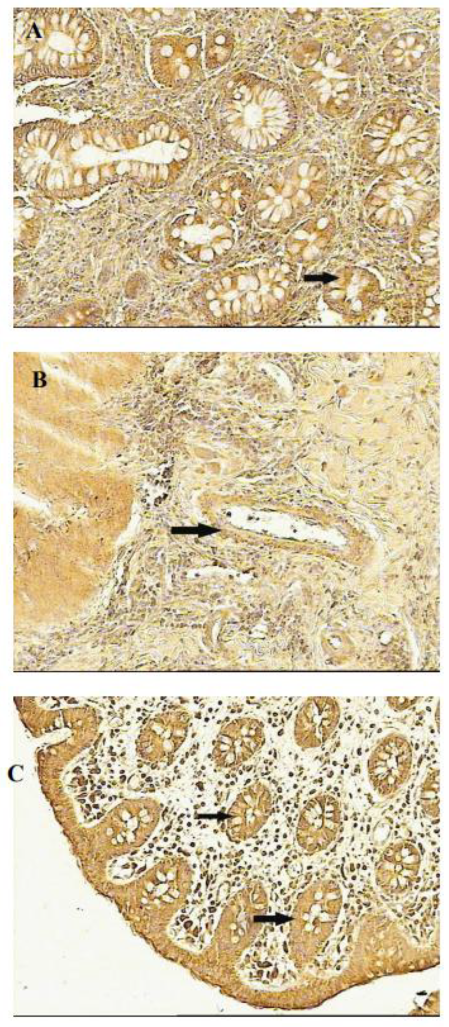 Preprints 180294 g003