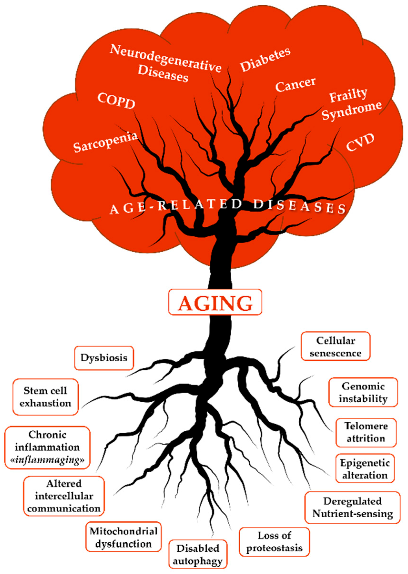 Preprints 155376 g001