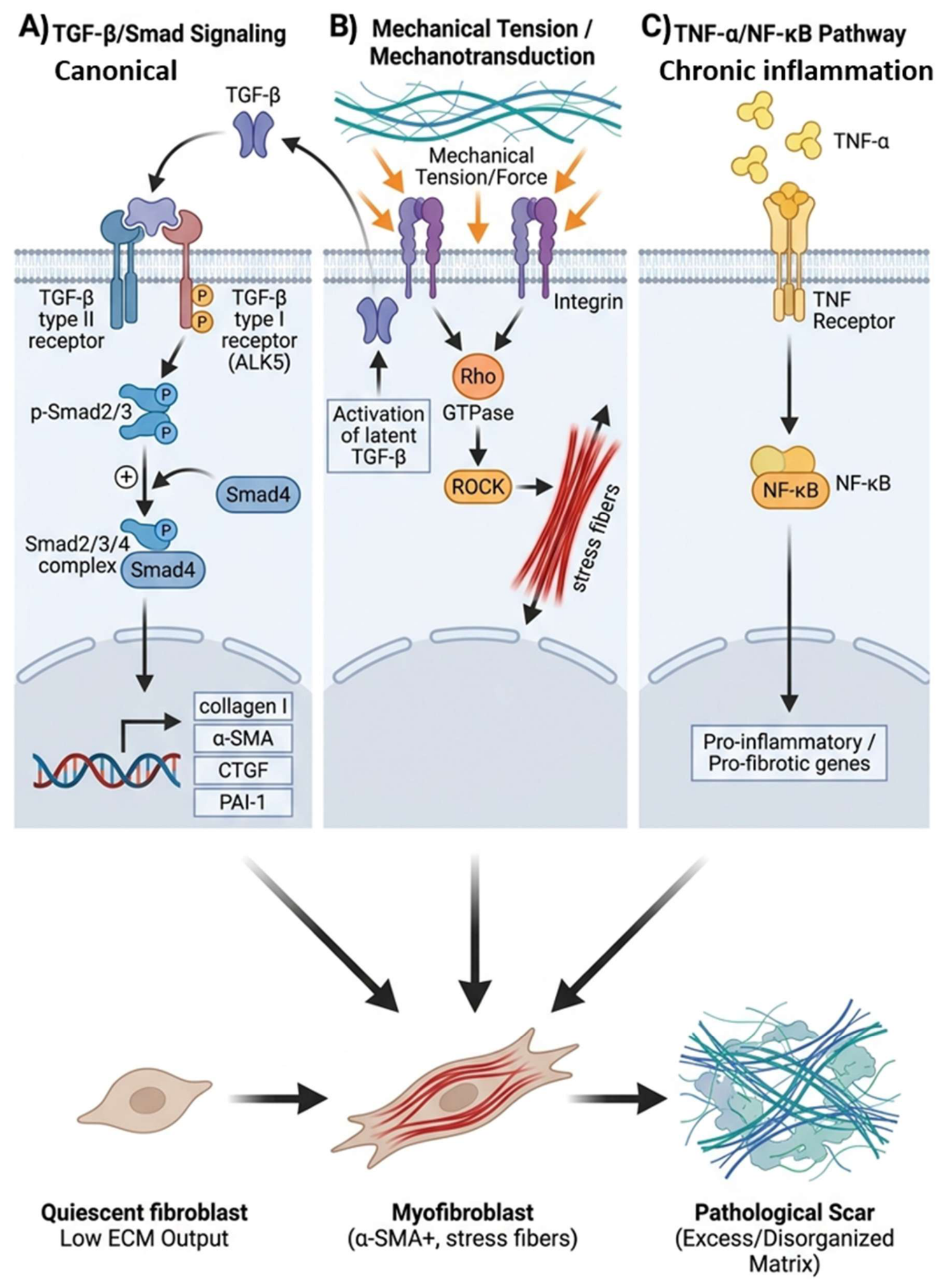 Preprints 217606 g002 Preprints 217606 g002