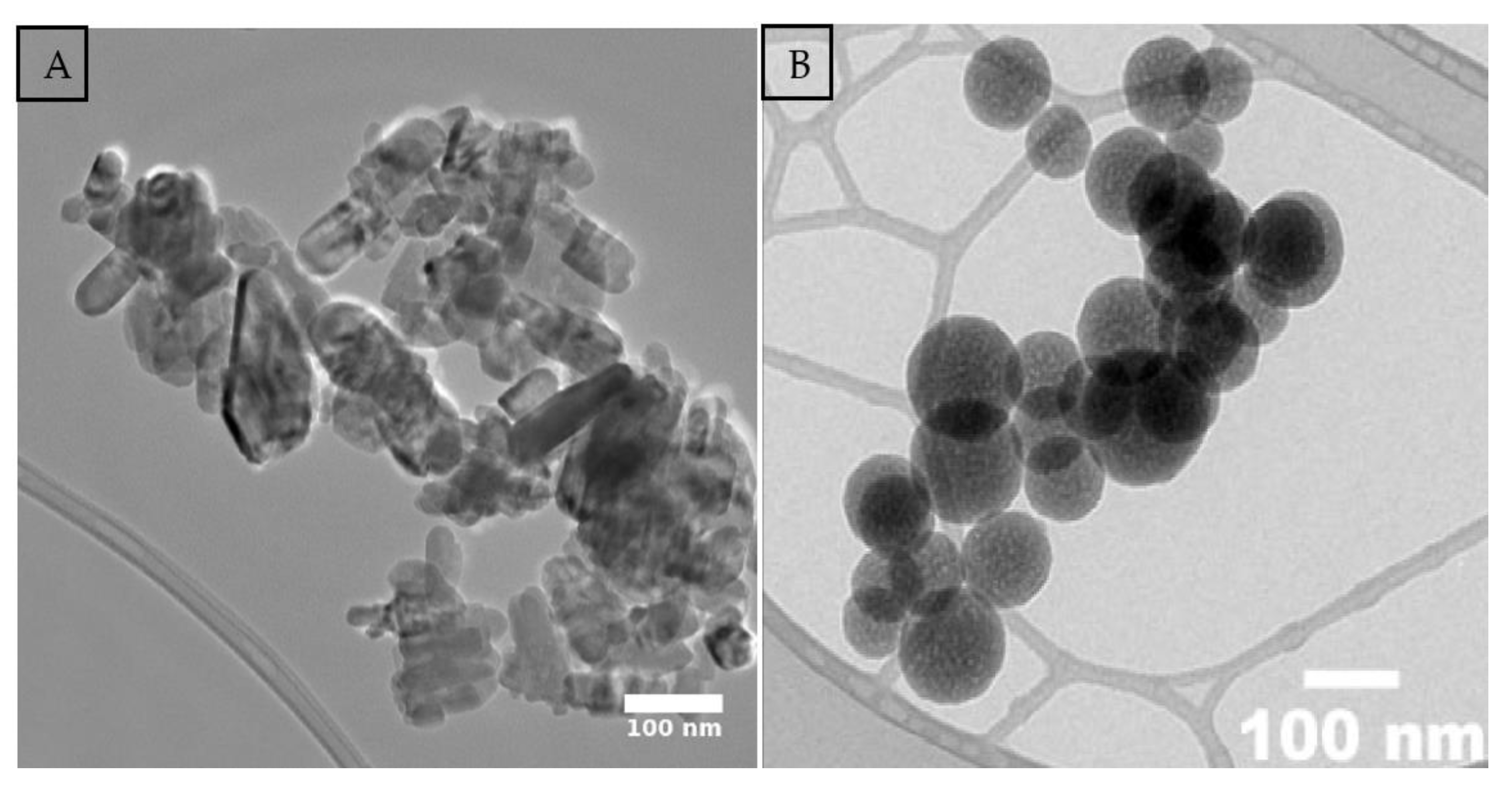 Preprints 158877 g007