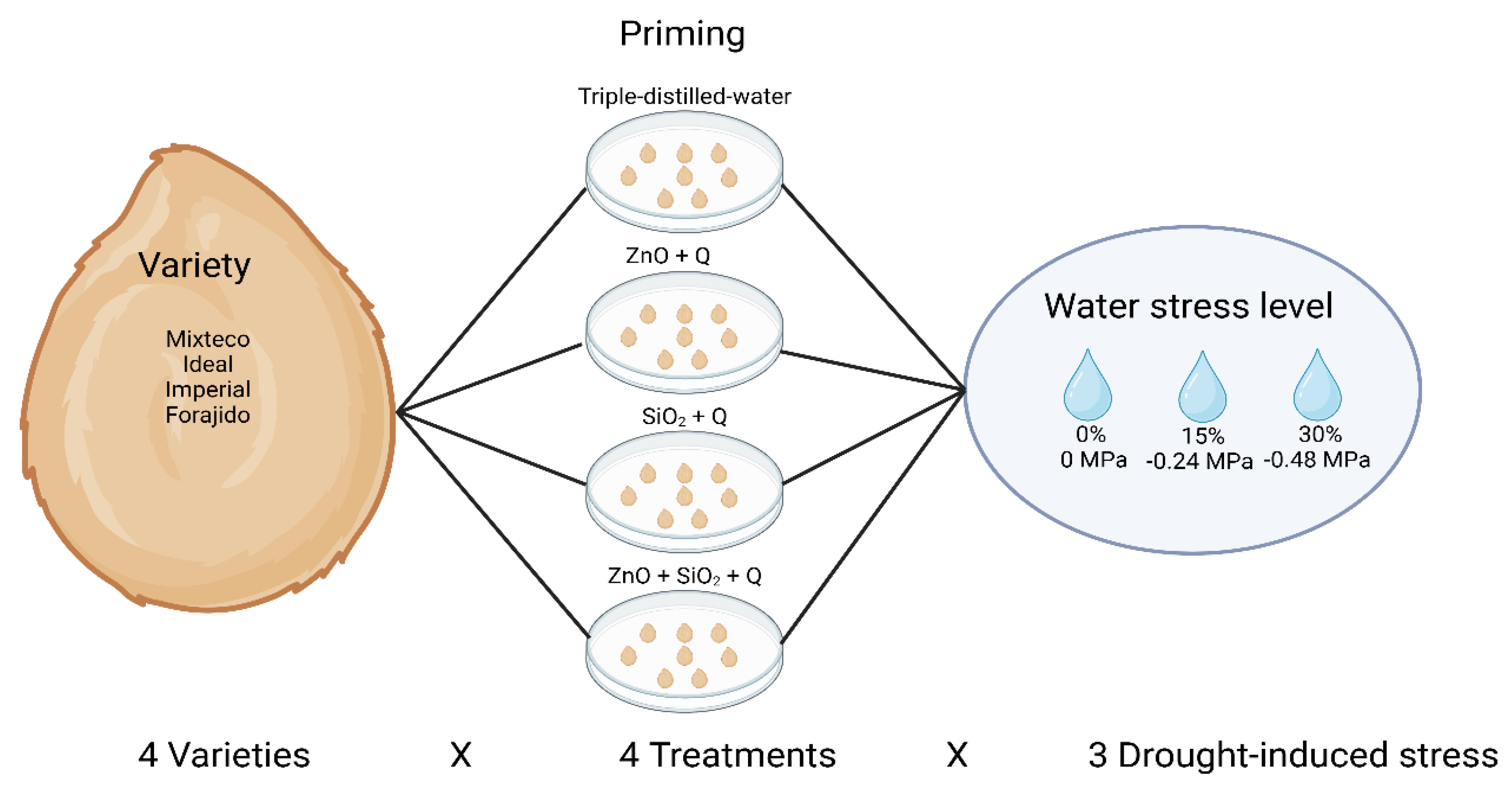 Preprints 158877 g008