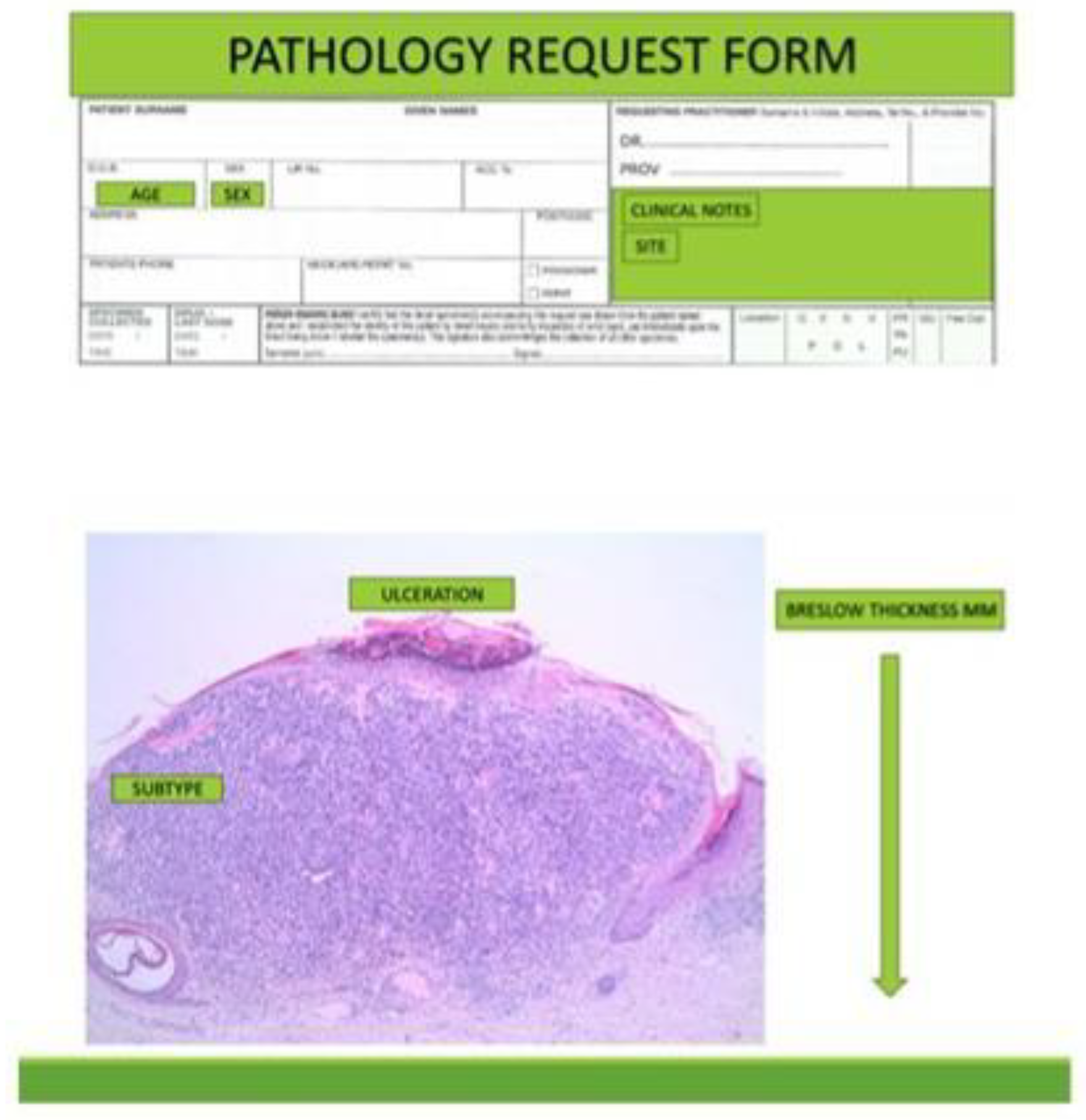 Preprints 162623 g001