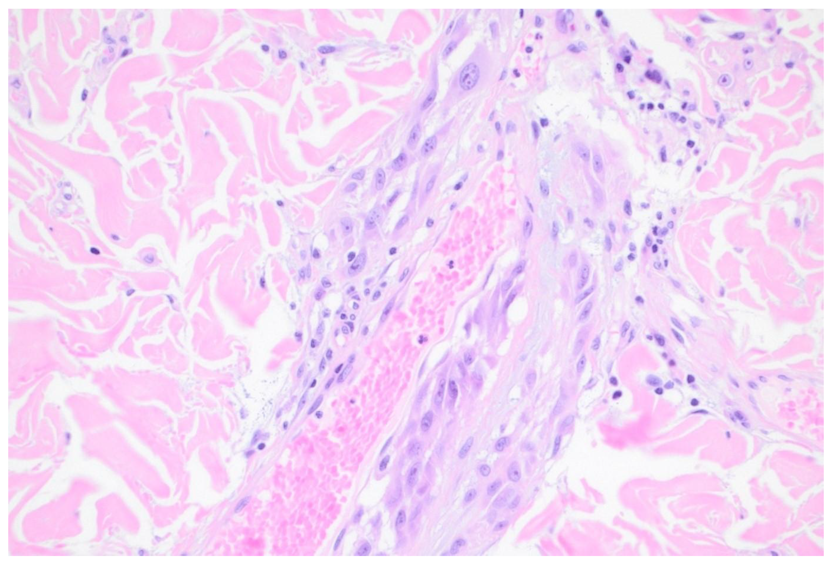 Preprints 162623 g002