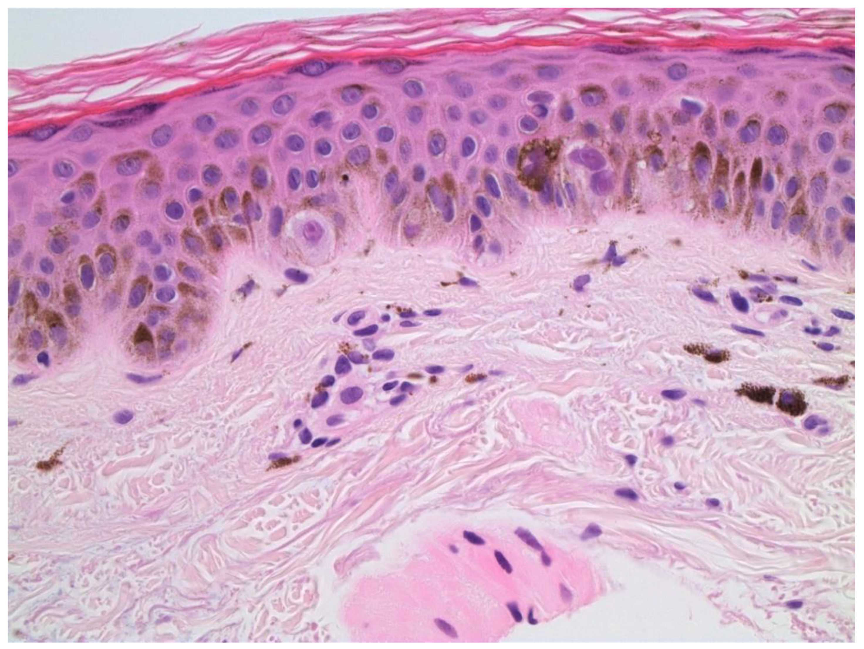 Preprints 162623 g003