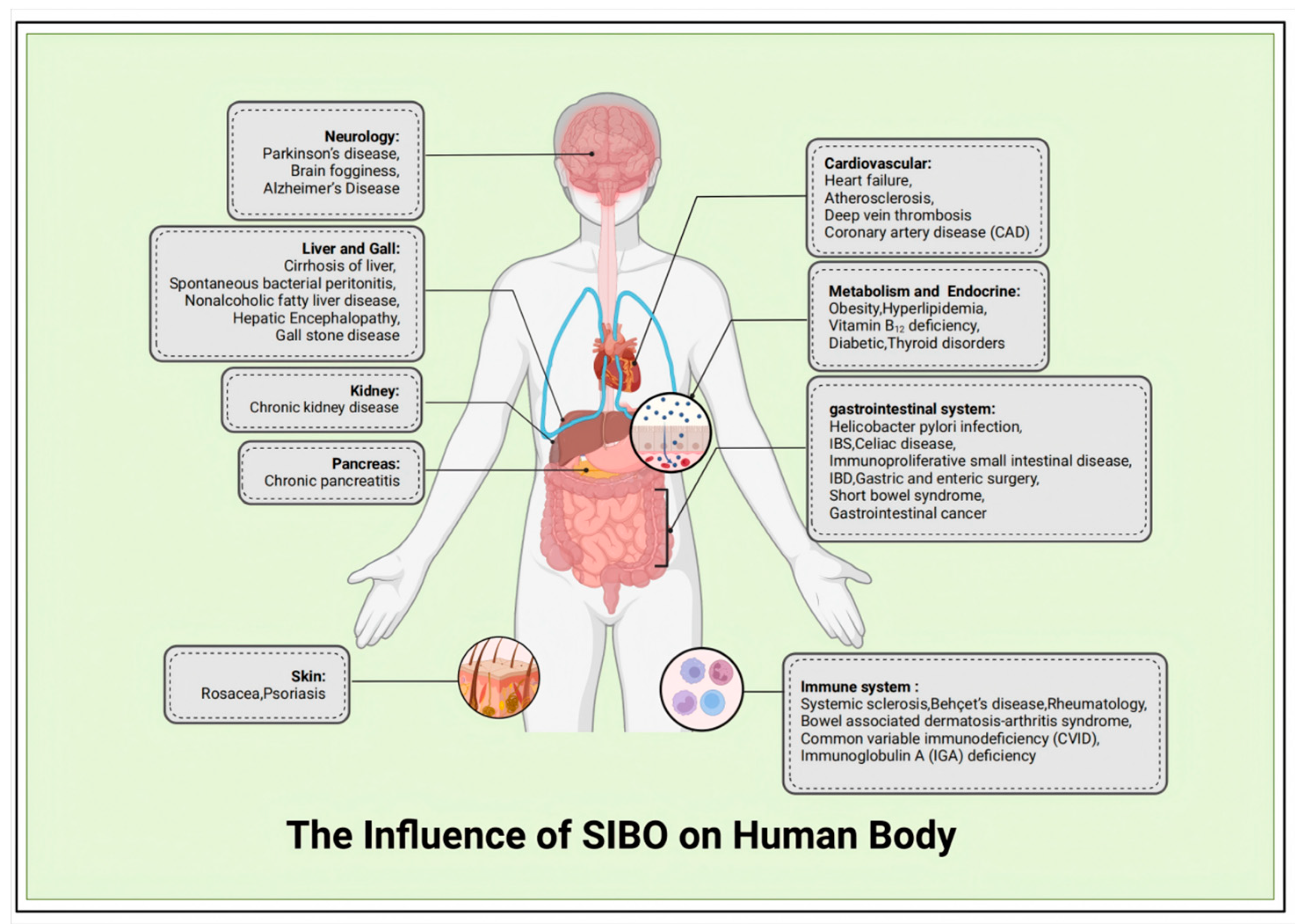 Preprints 155252 g002