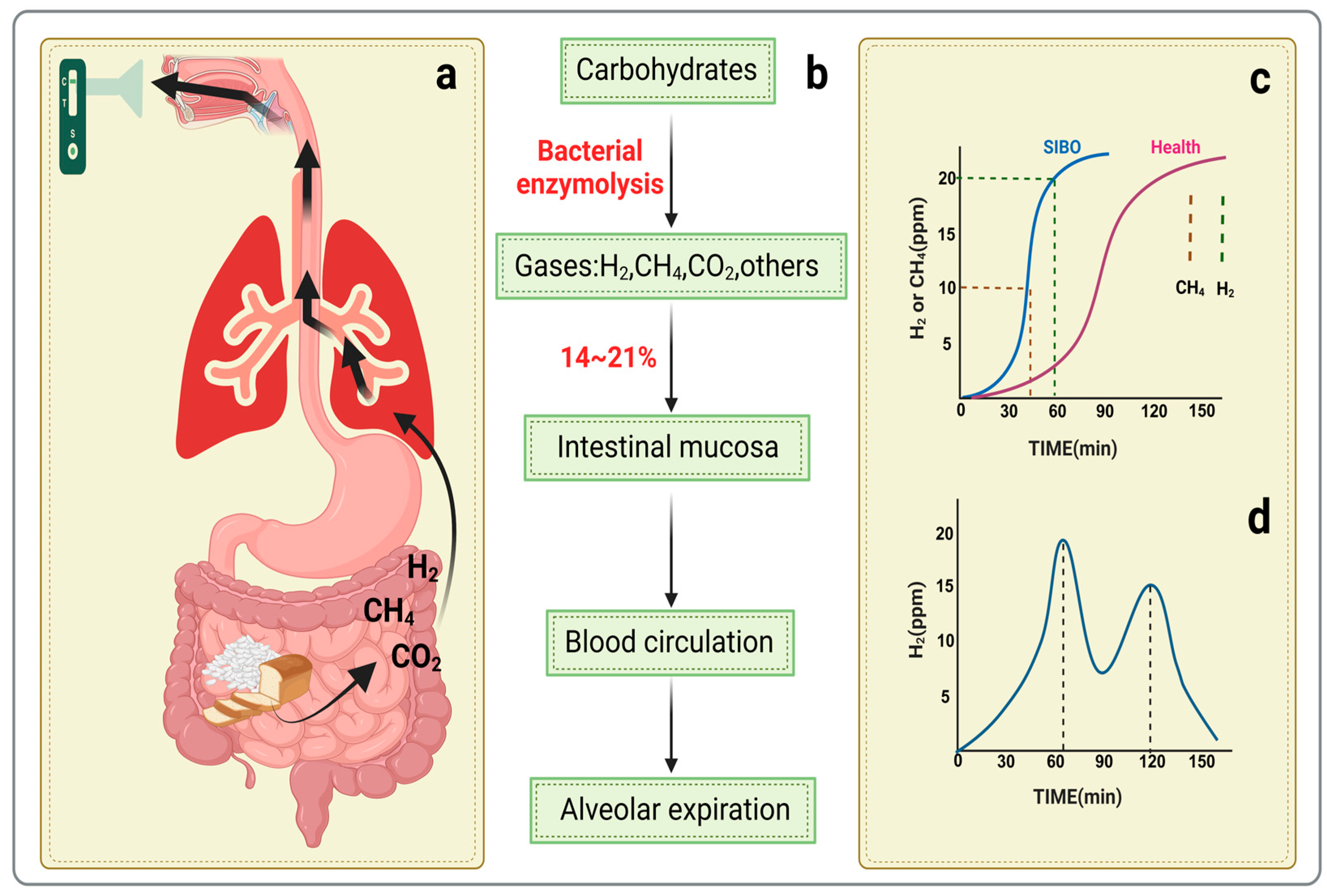 Preprints 155252 g003