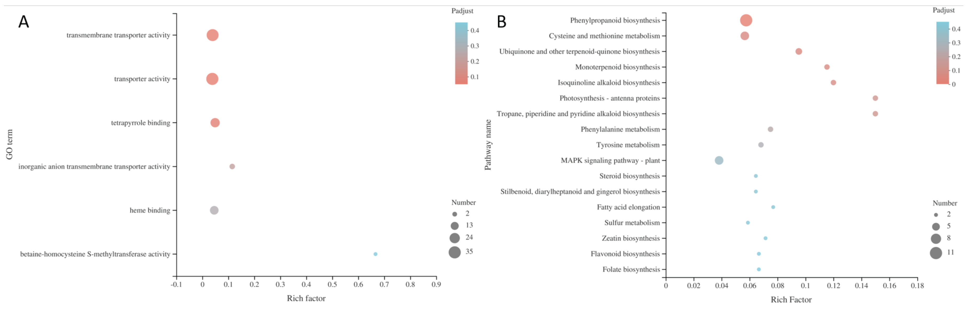 Preprints 144934 g007
