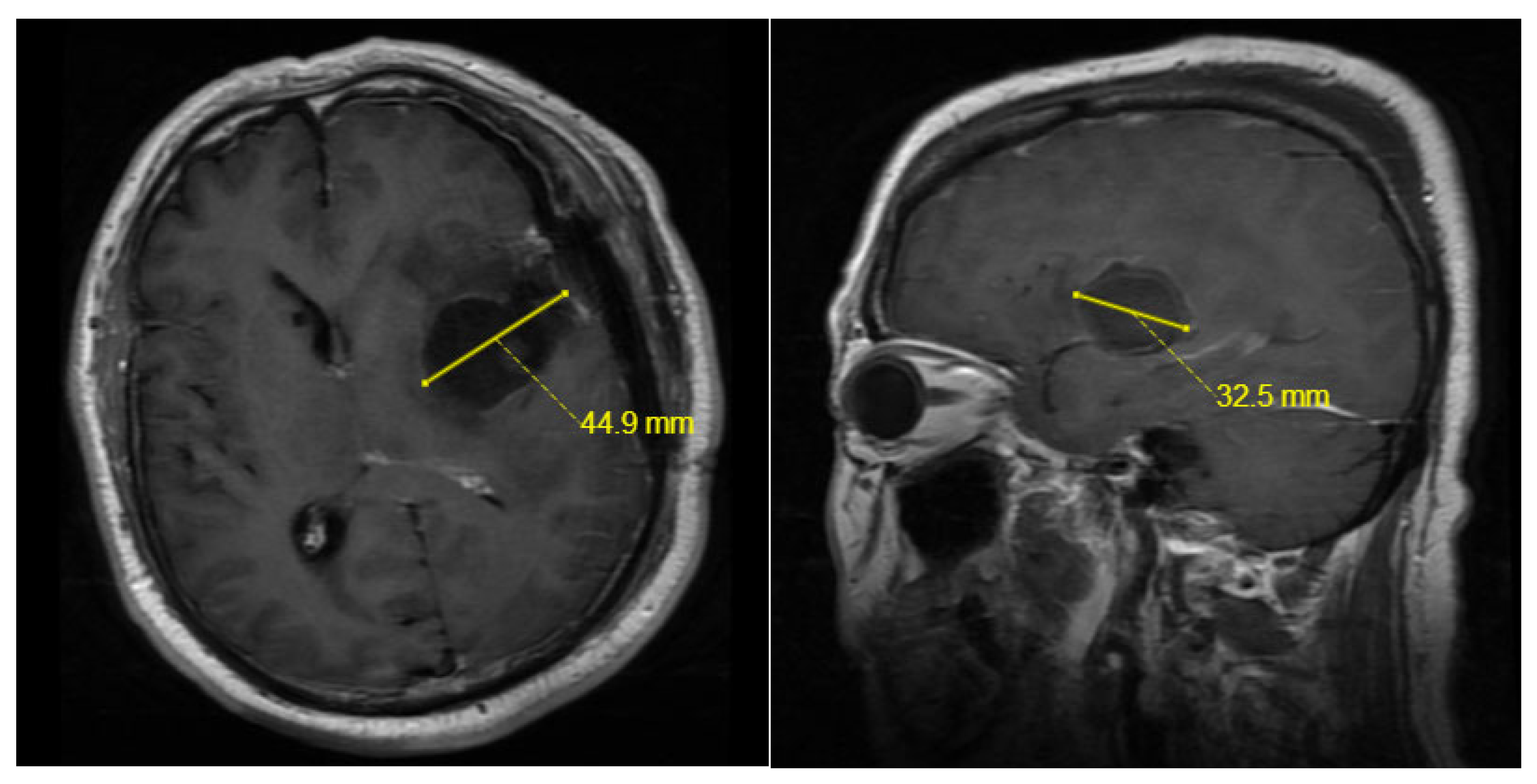 Preprints 121853 g002