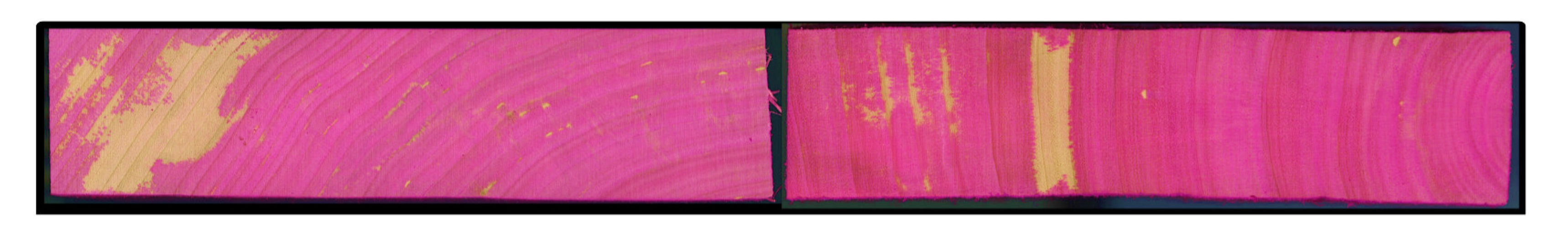 Preprints 164396 g001