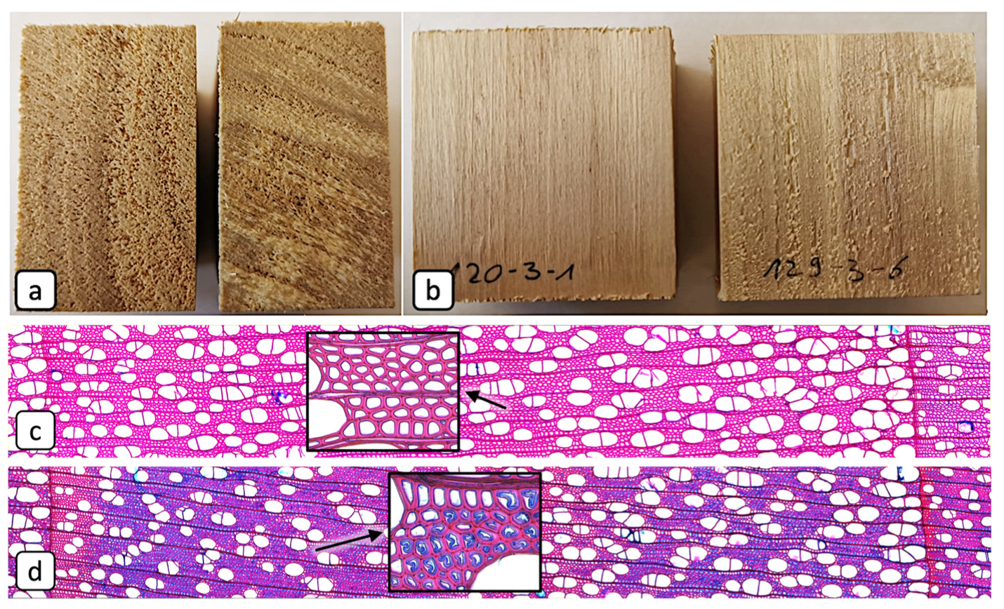 Preprints 164396 g002
