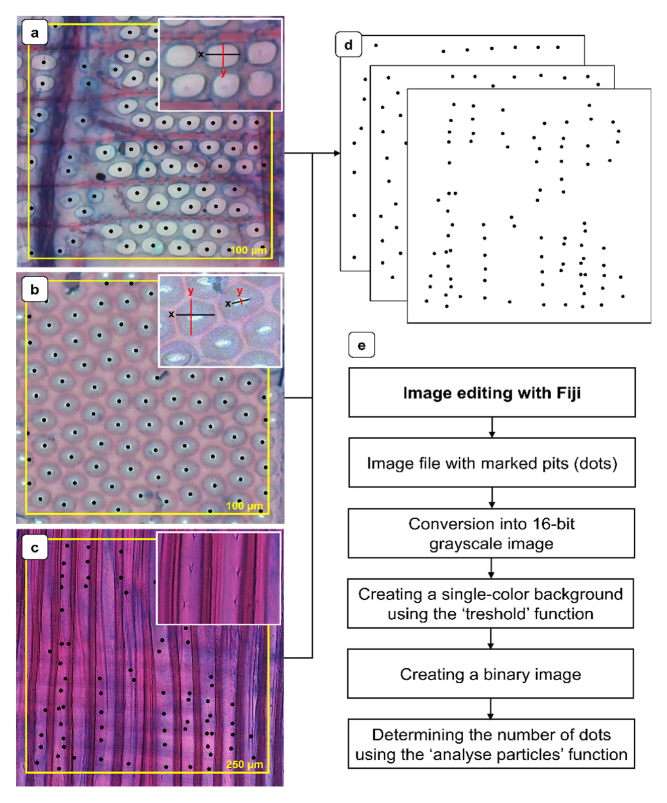 Preprints 164396 g003