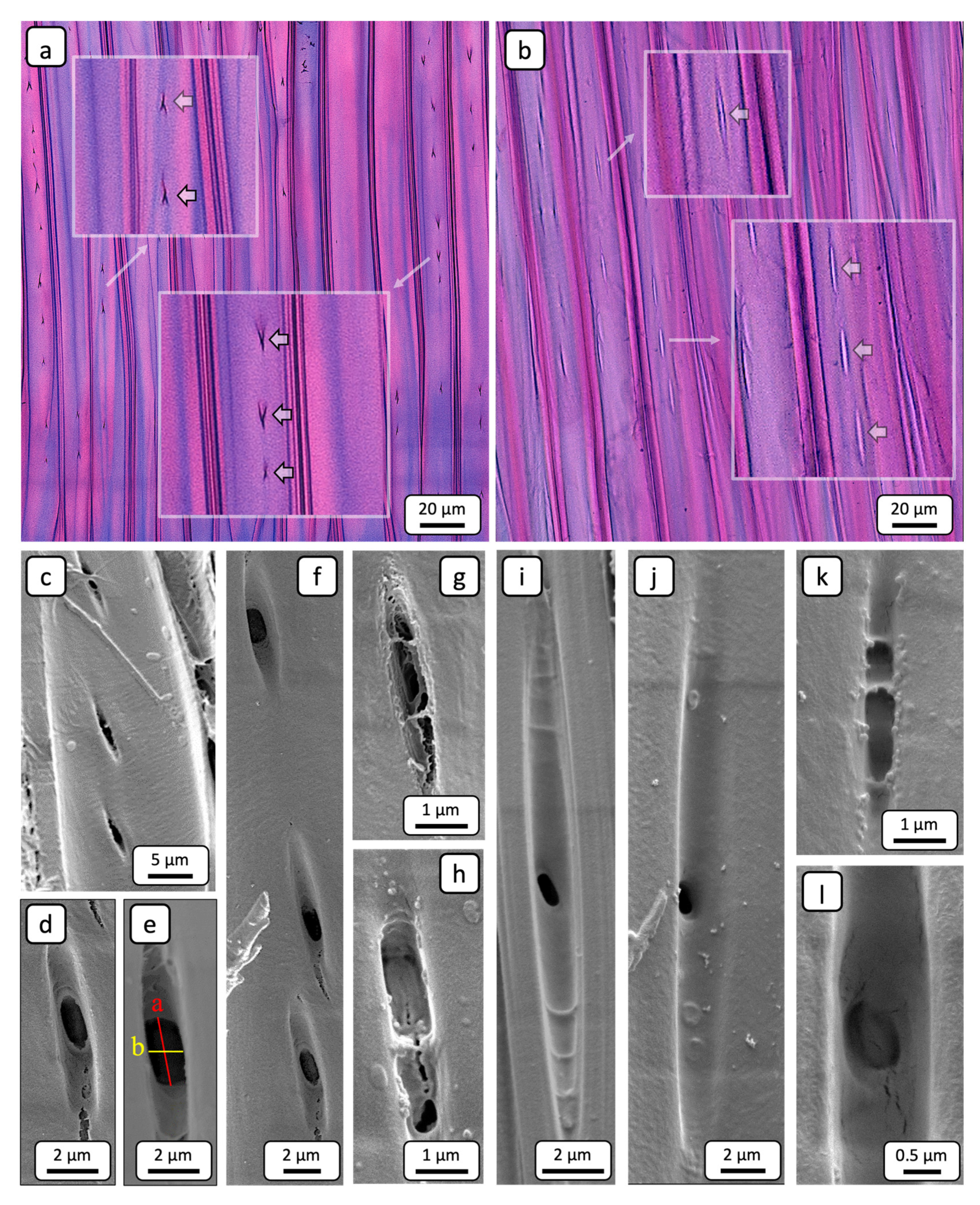 Preprints 164396 g009