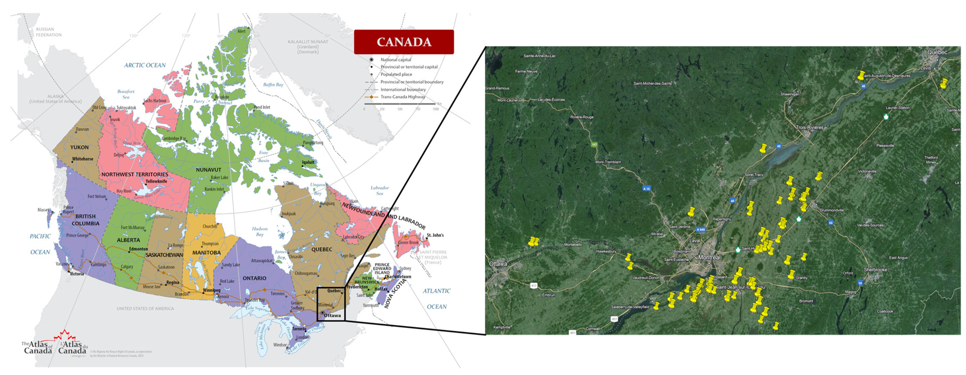 Preprints 143951 g001