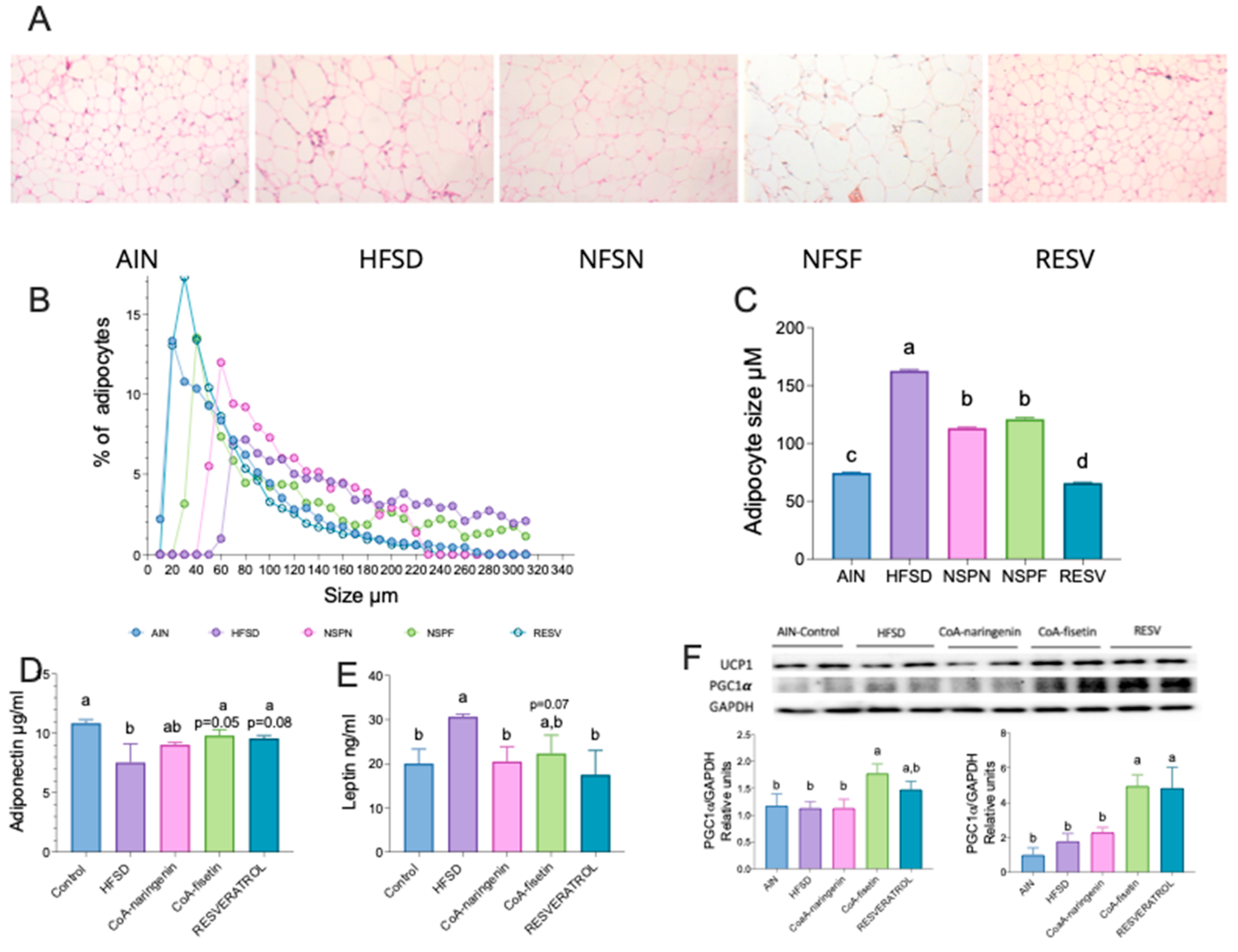 Preprints 121694 g006