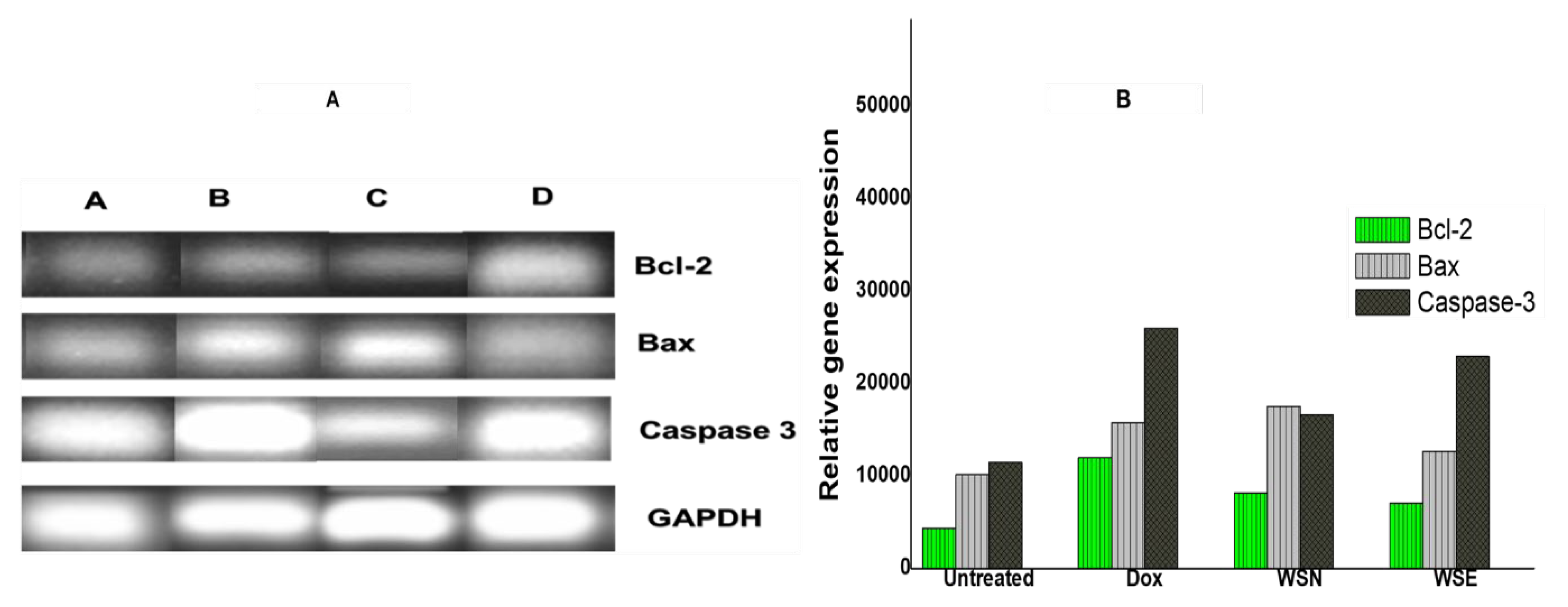 Preprints 204848 g005 Preprints 204848 g005