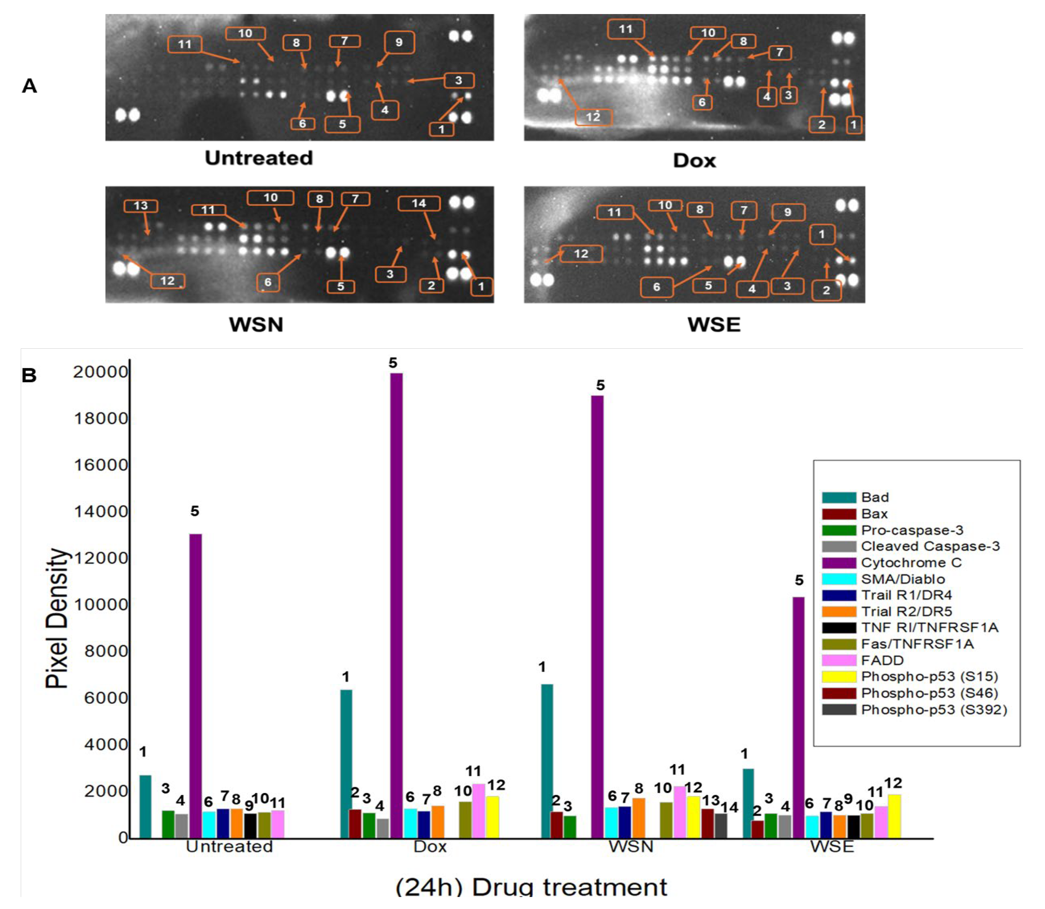 Preprints 204848 g006 Preprints 204848 g006