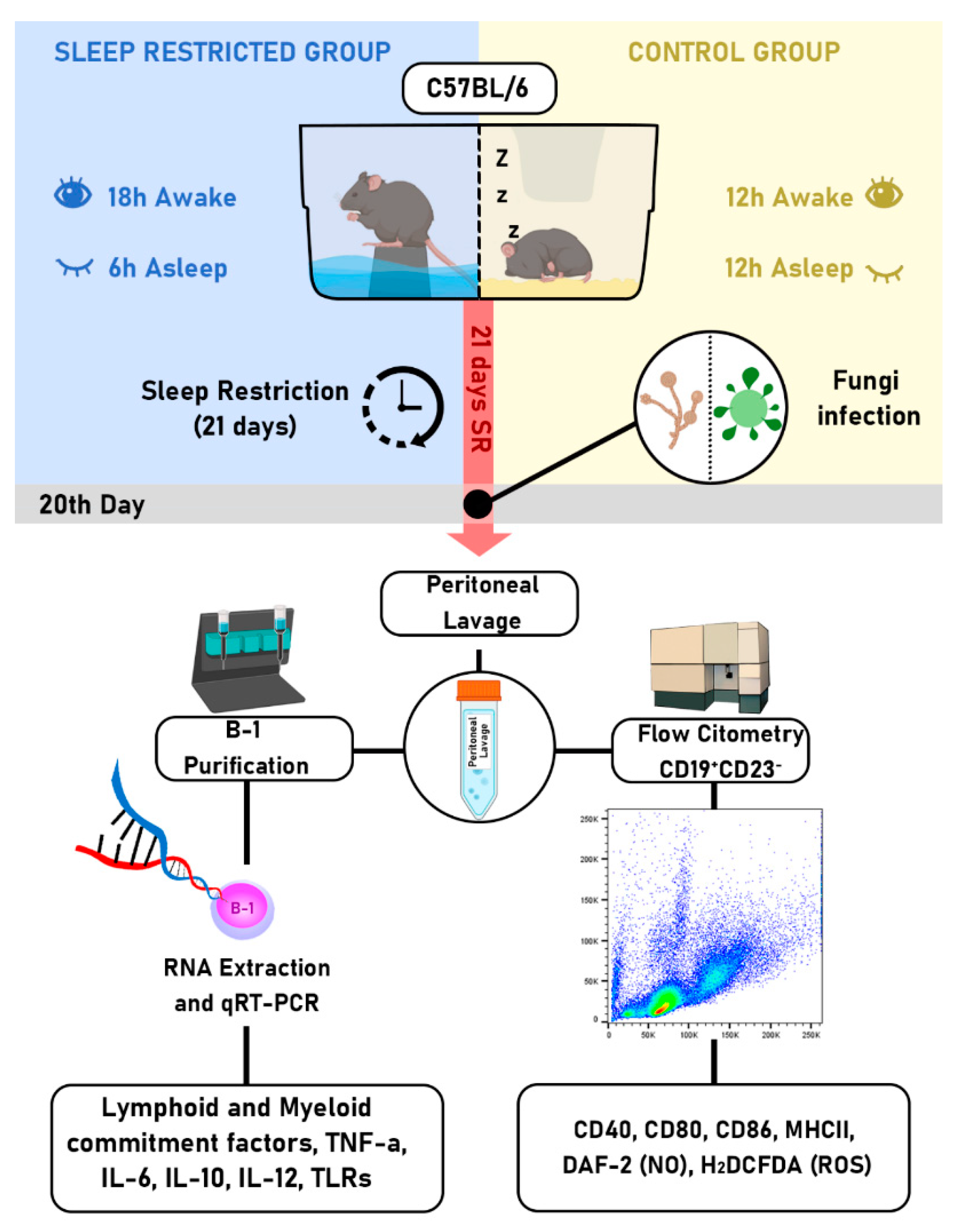 Preprints 98859 g001