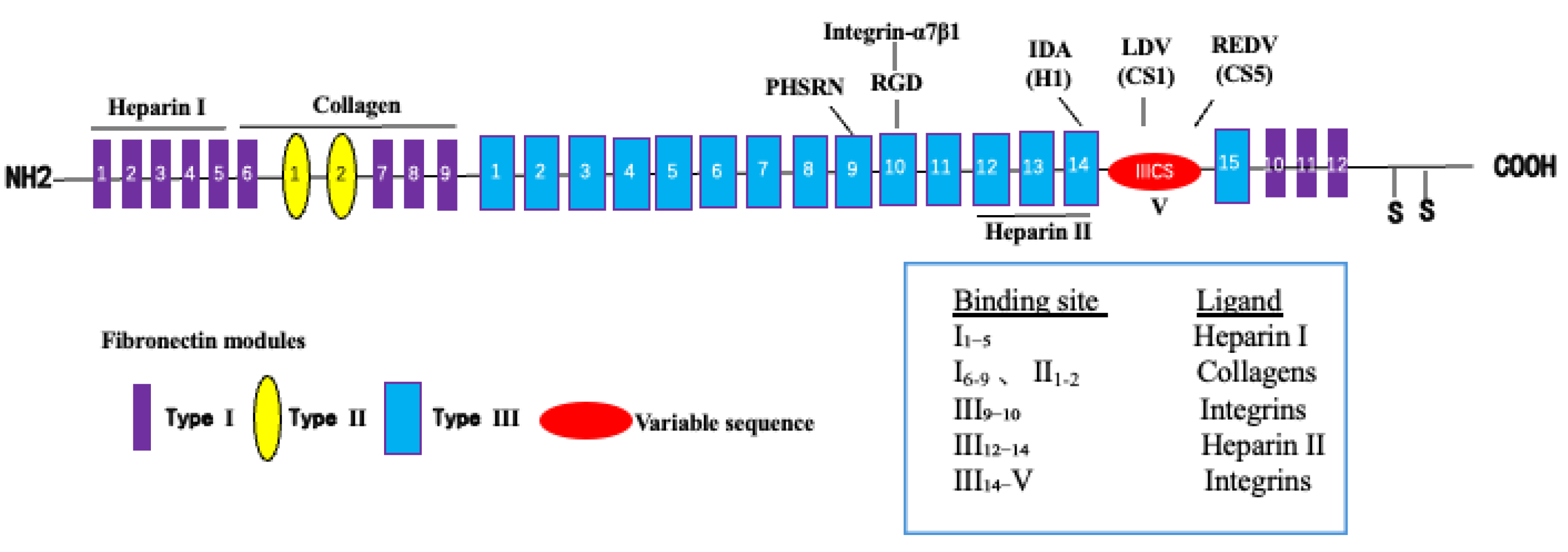 Preprints 168498 g003