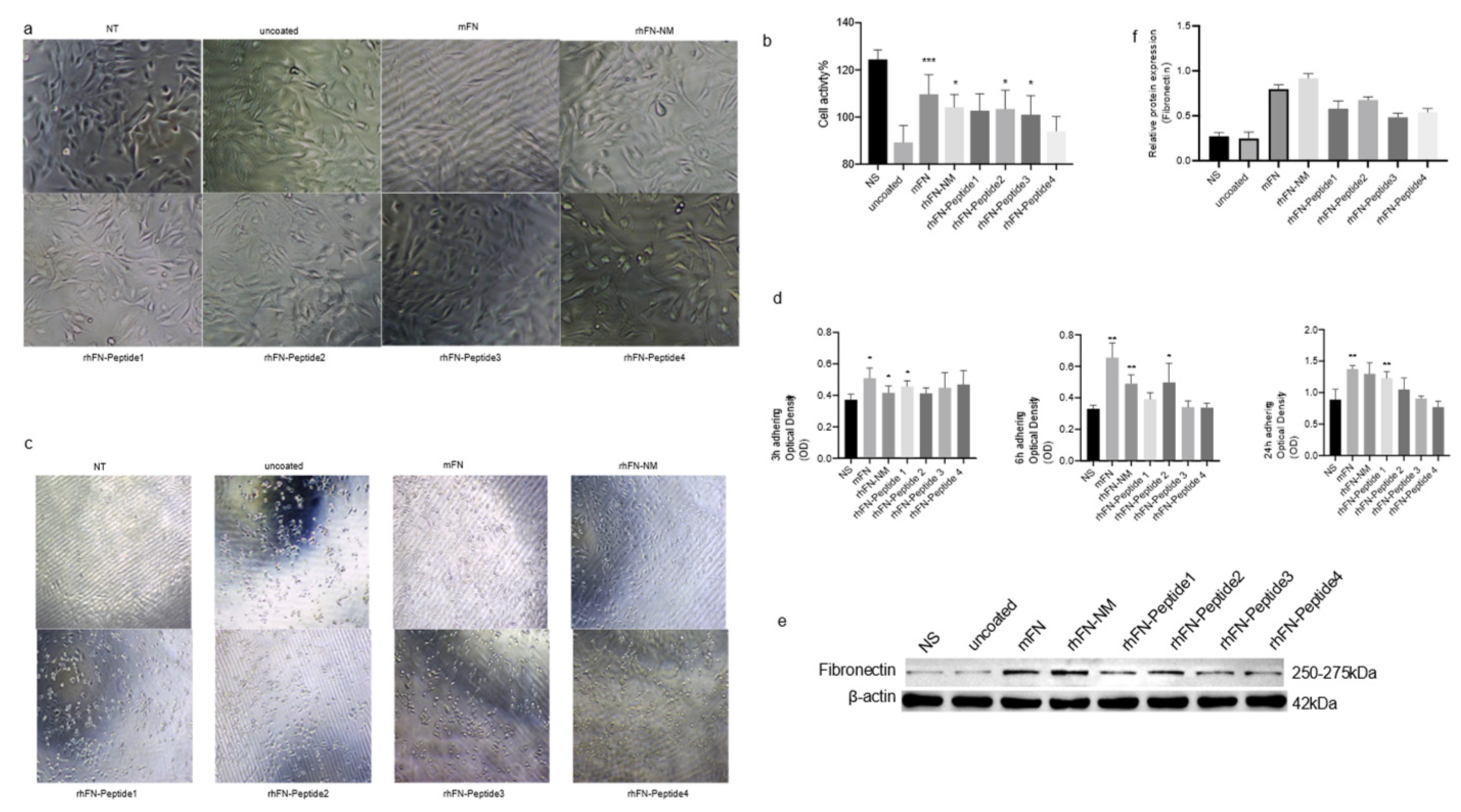 Preprints 168498 g006