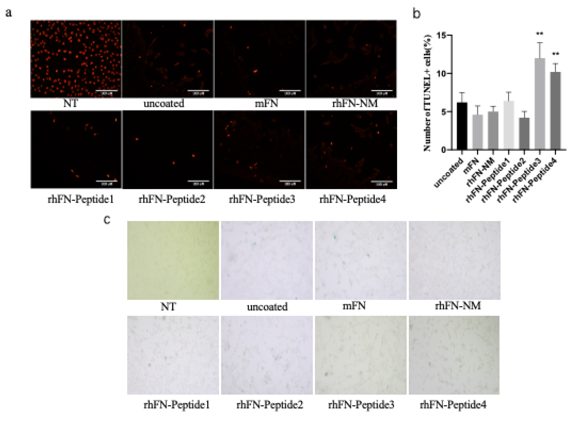 Preprints 168498 g007