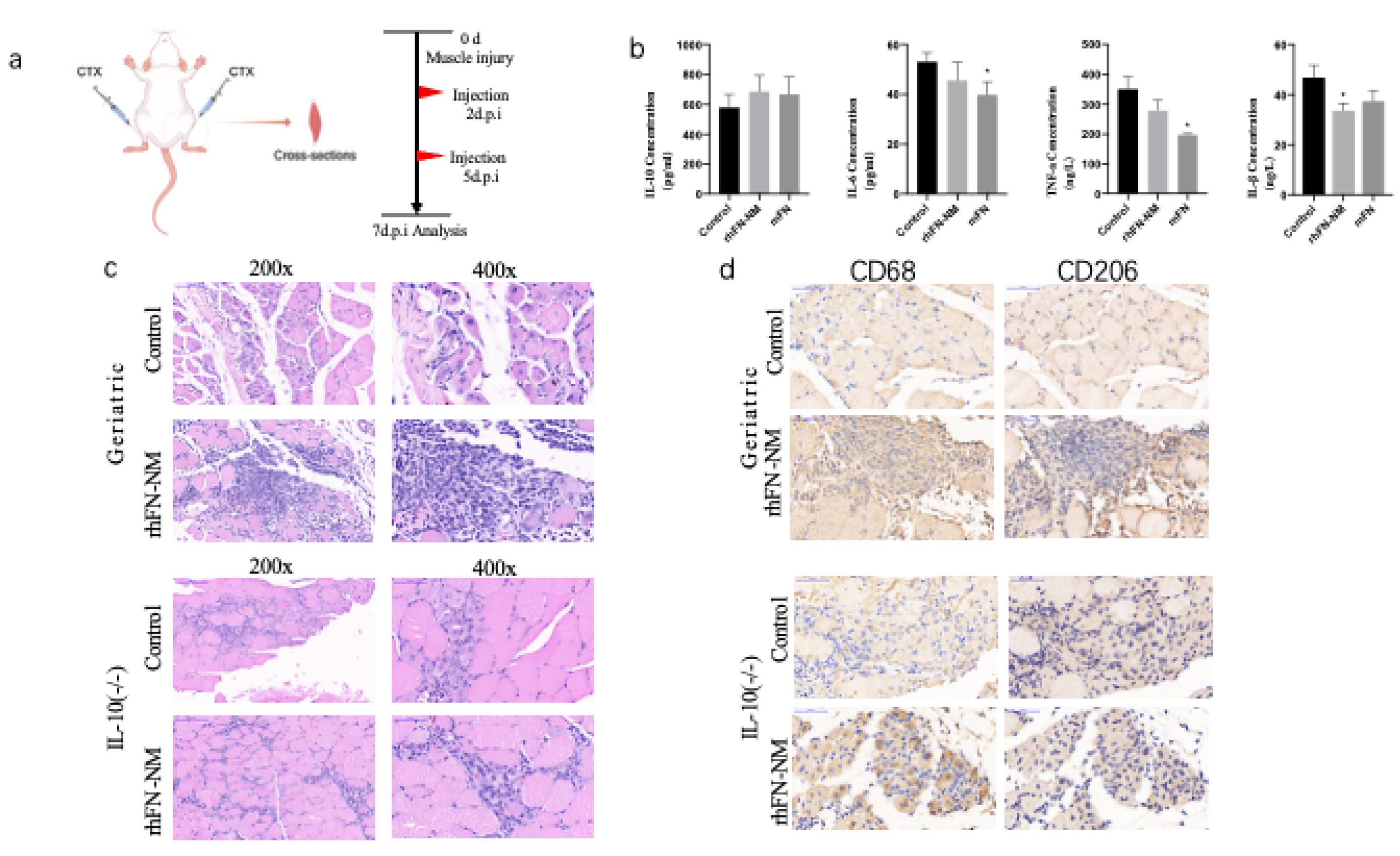 Preprints 168498 g008