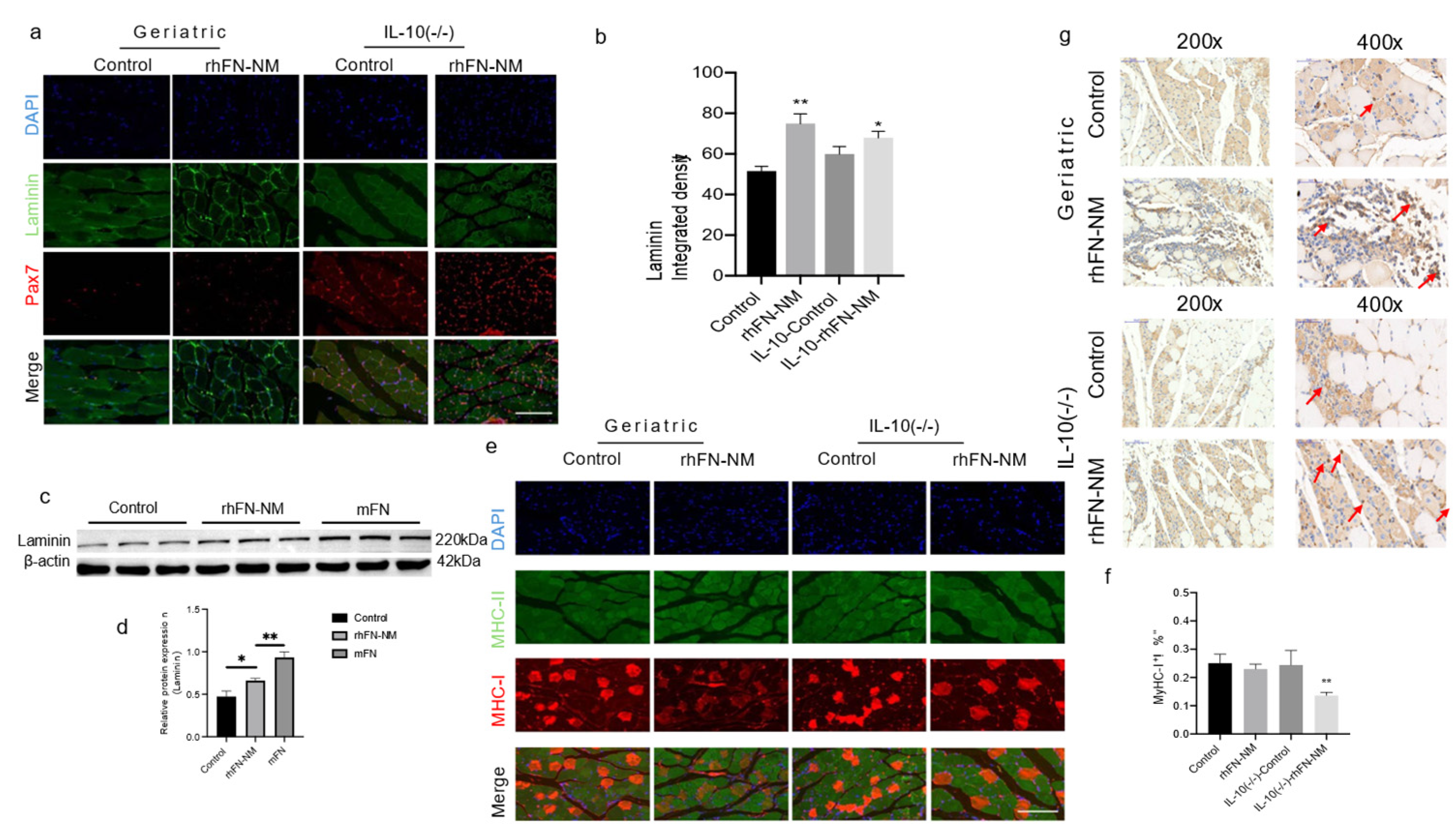 Preprints 168498 g009