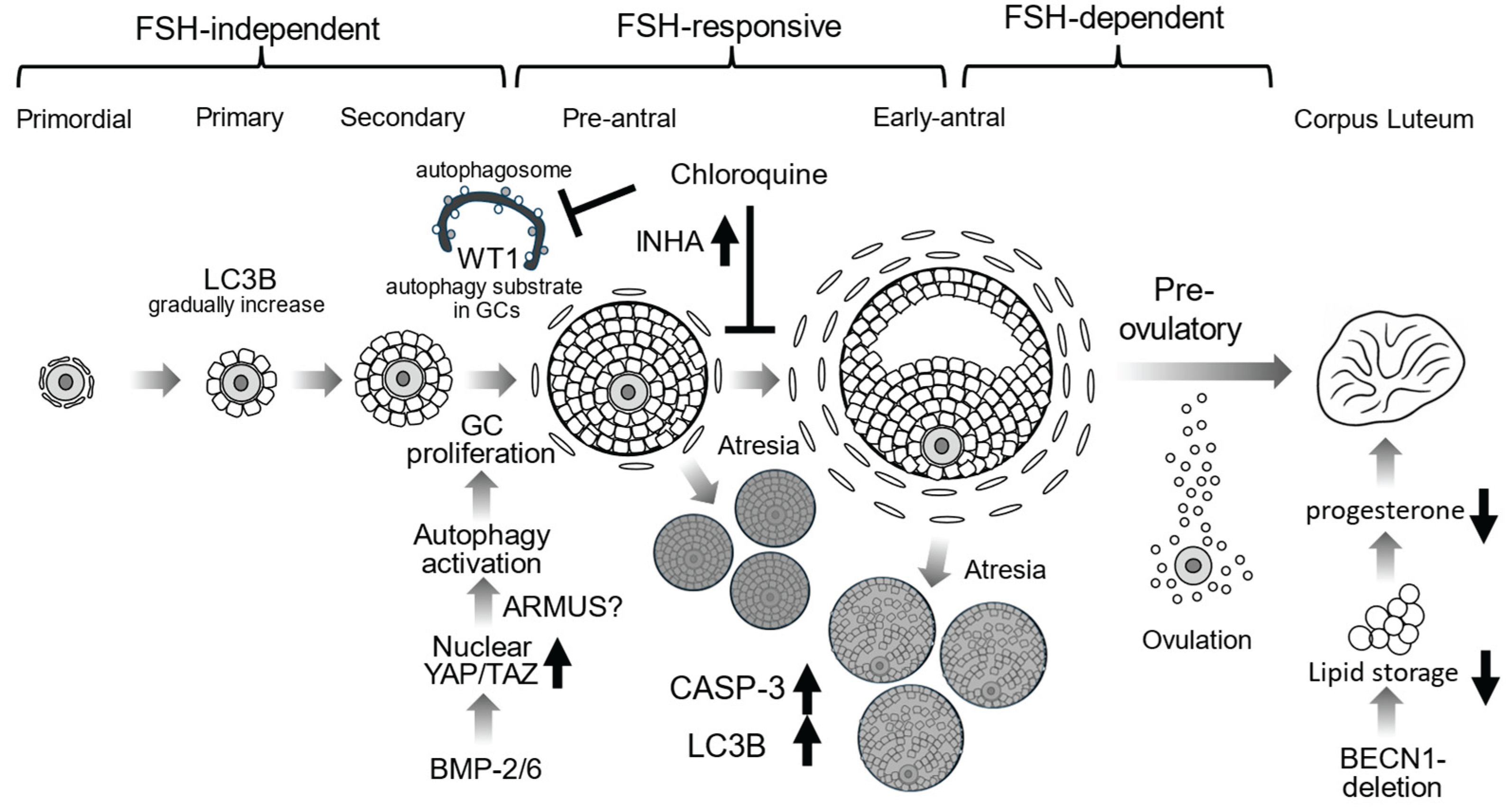 Preprints 166393 g002