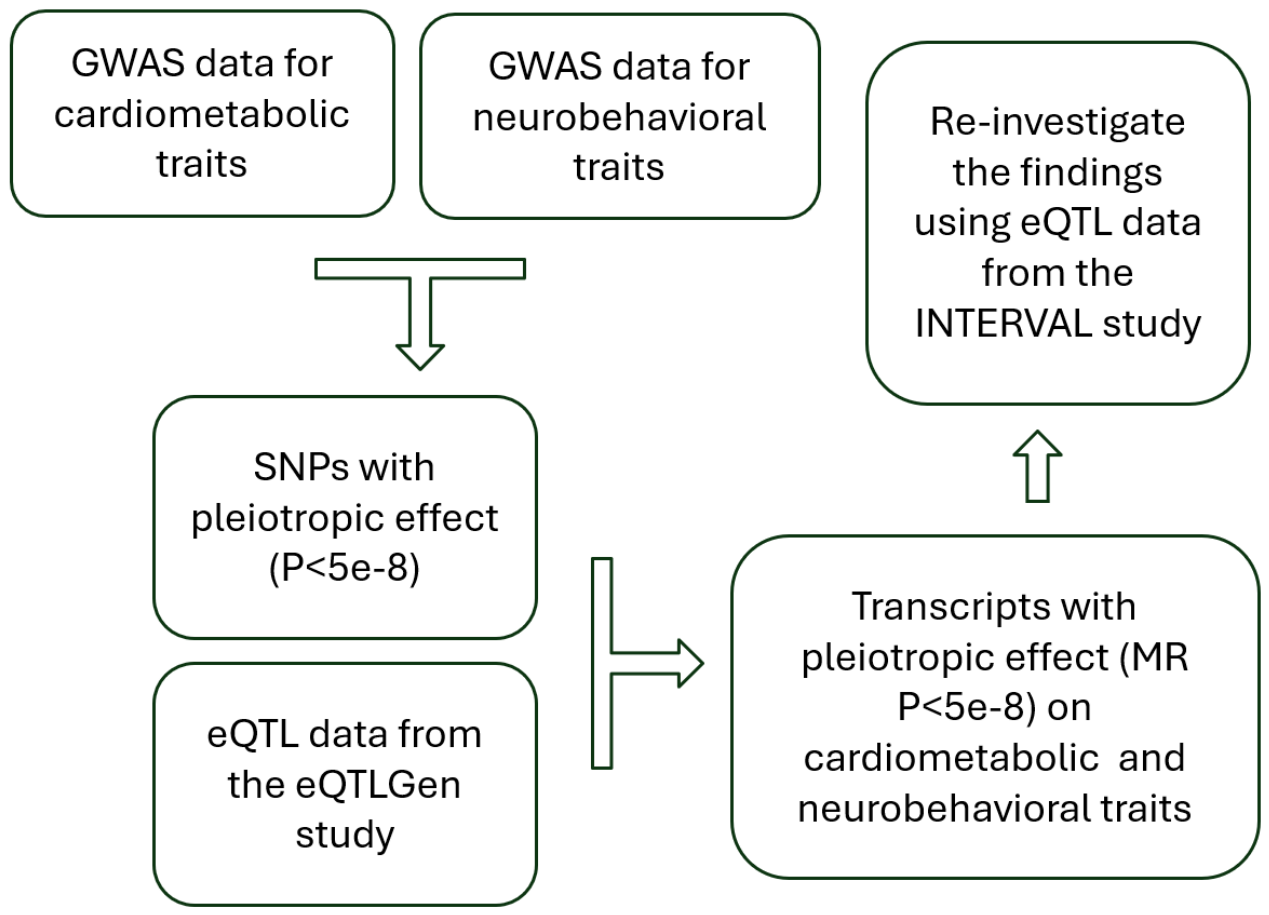 Preprints 215291 g001 Preprints 215291 g001