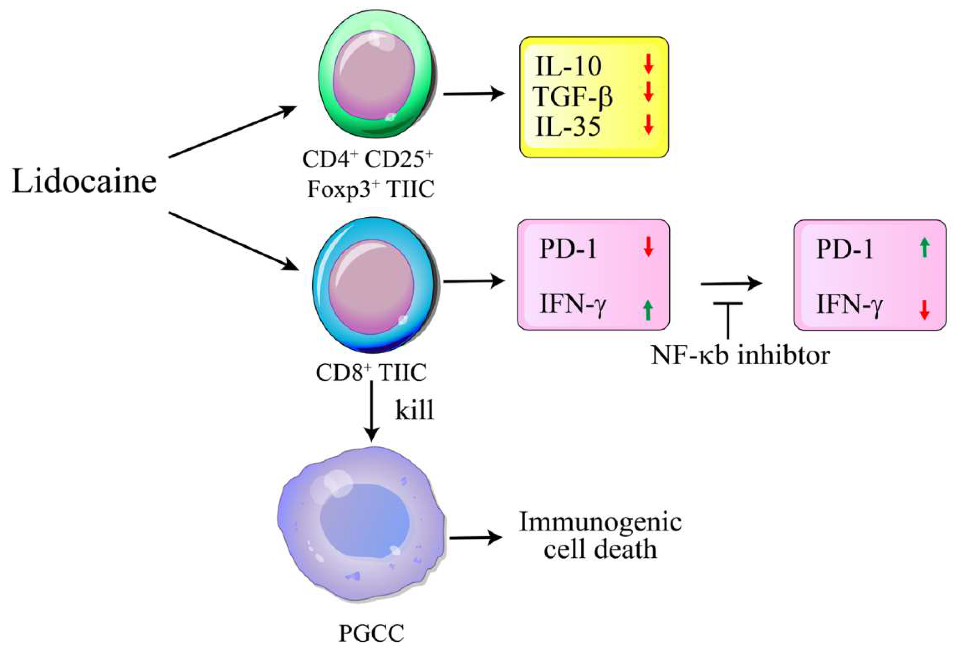 Preprints 150361 g010
