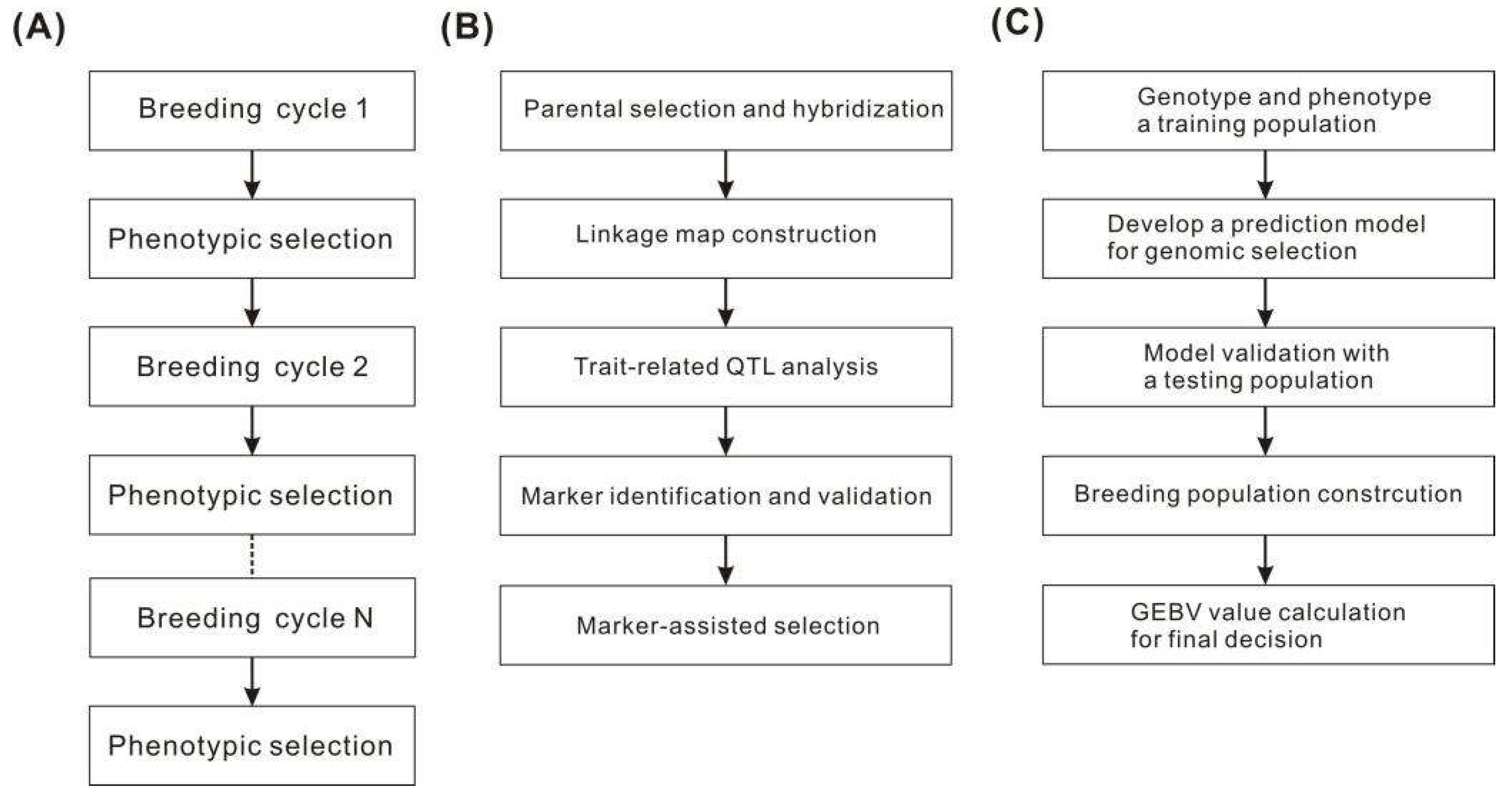 Preprints 71244 g001