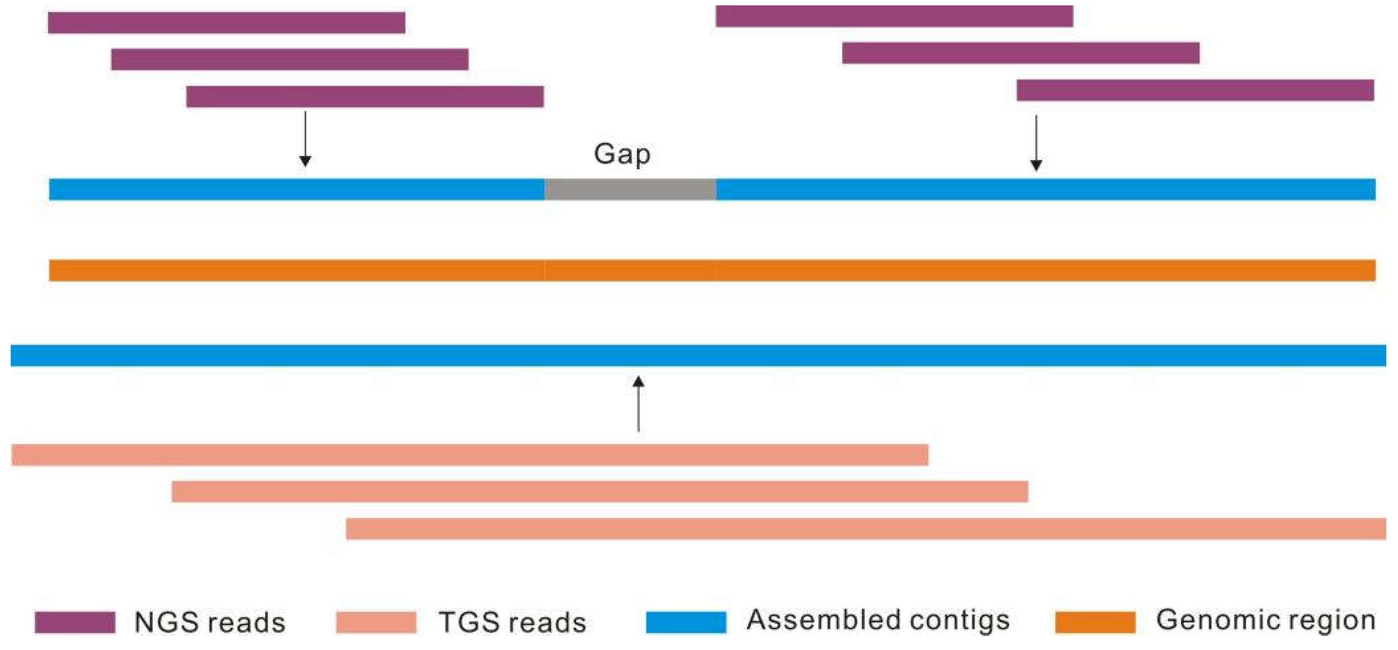 Preprints 71244 g002