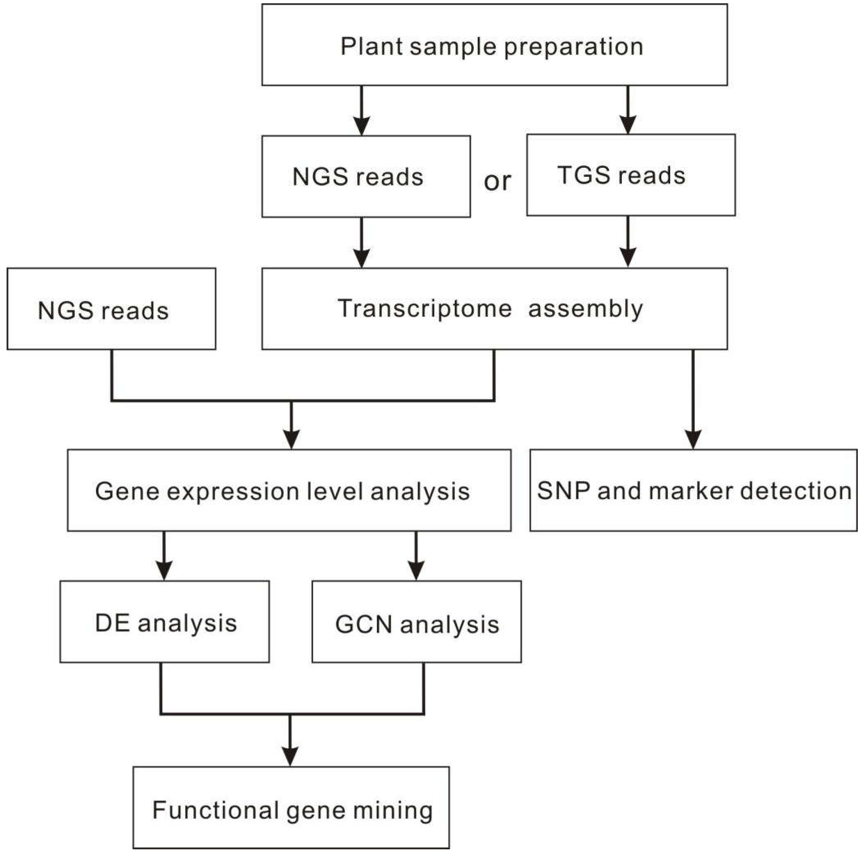 Preprints 71244 g003