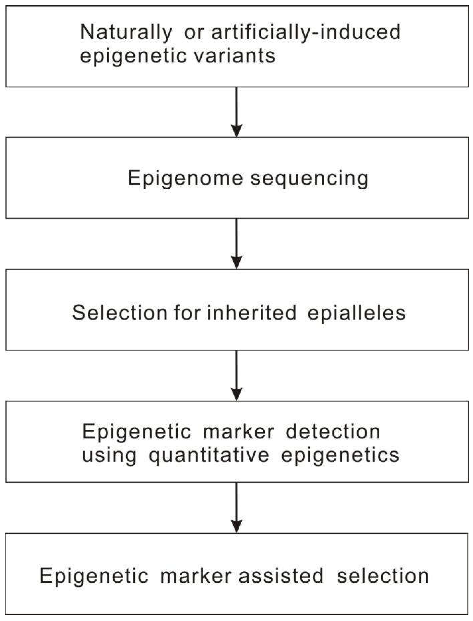 Preprints 71244 g004