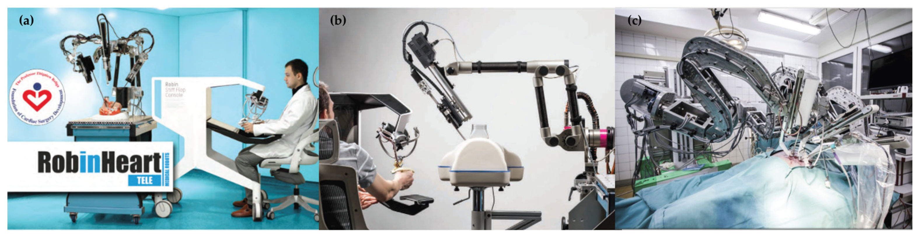 Preprints 209618 g001